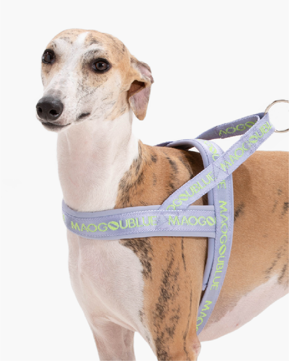 Neon Park Pet Chest Strap