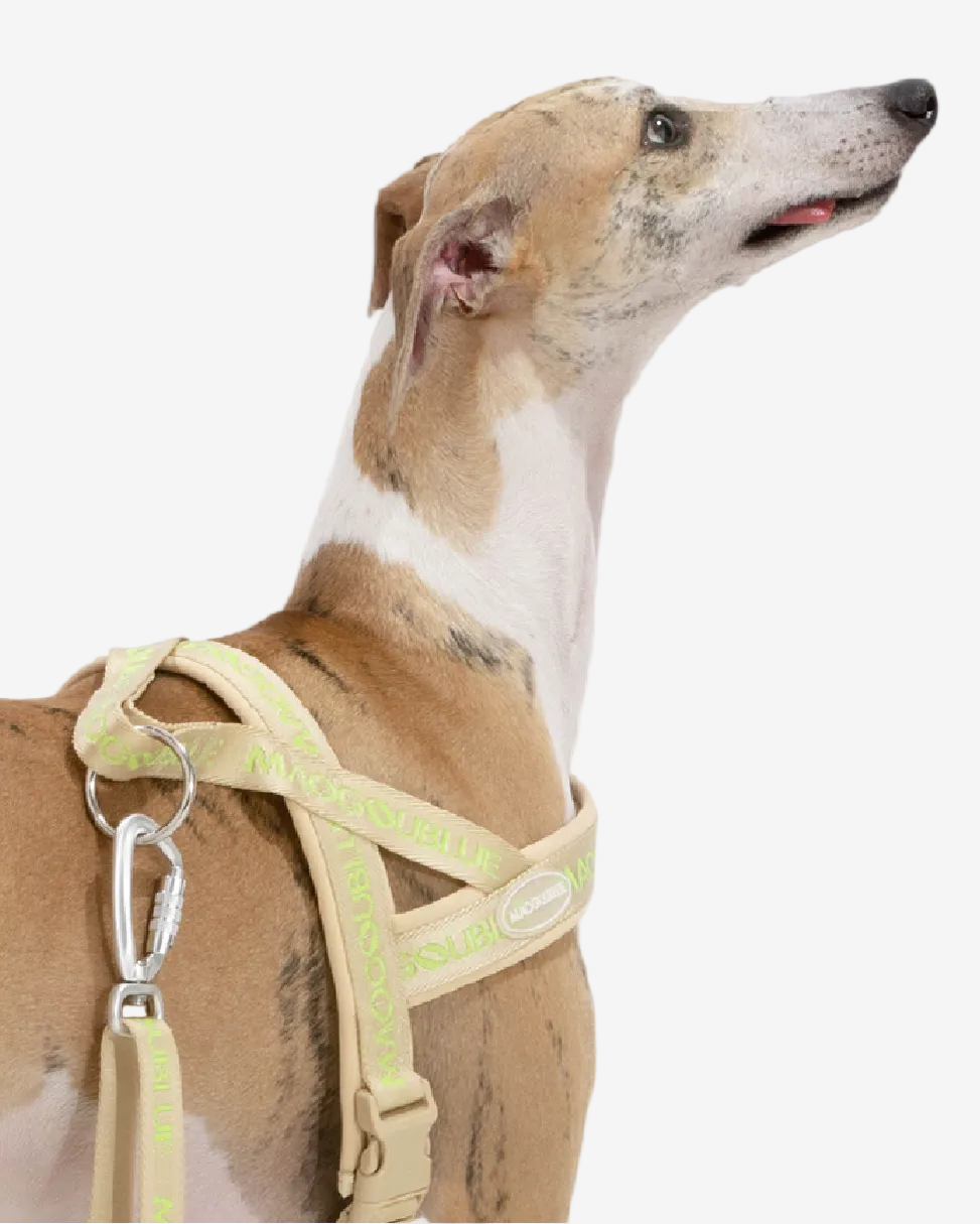 Neon Park Pet Chest Strap