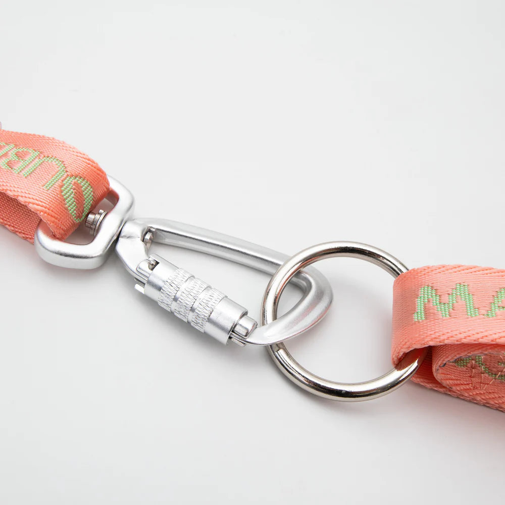 Neon Park Pet Chest Strap