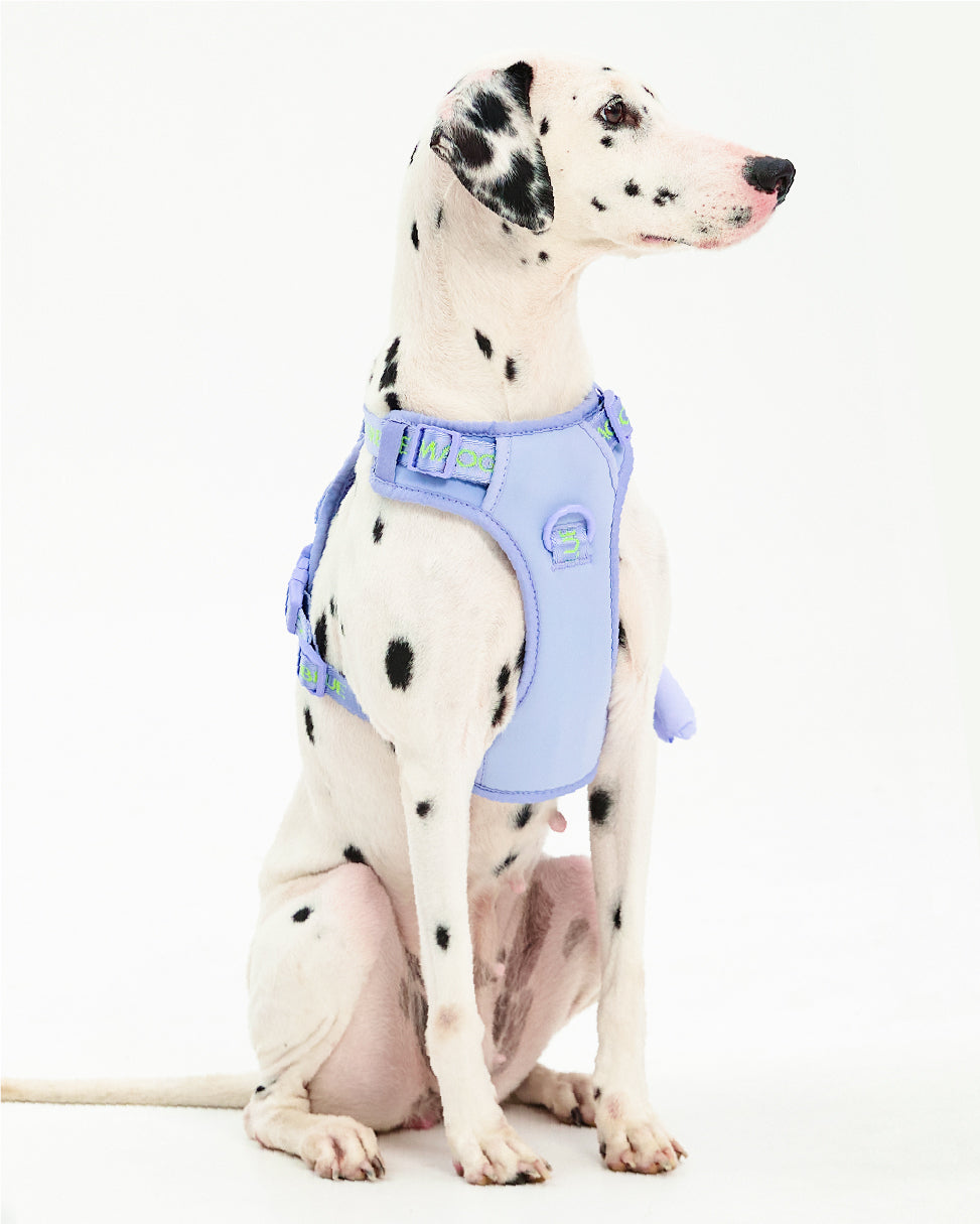 Central Park Dog Harness