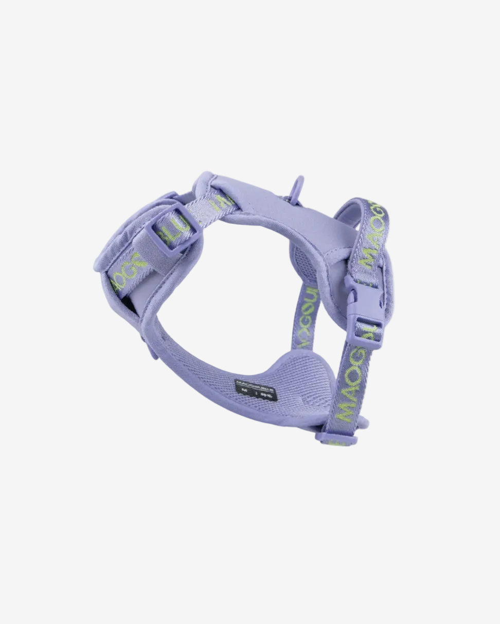 Central Park Dog Harness