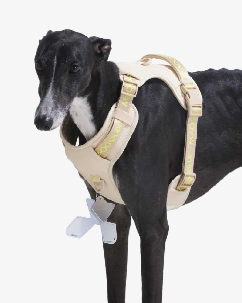 Central Park Dog Harness
