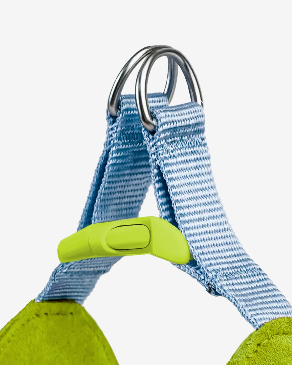 Island V-Shaped Dog Harness