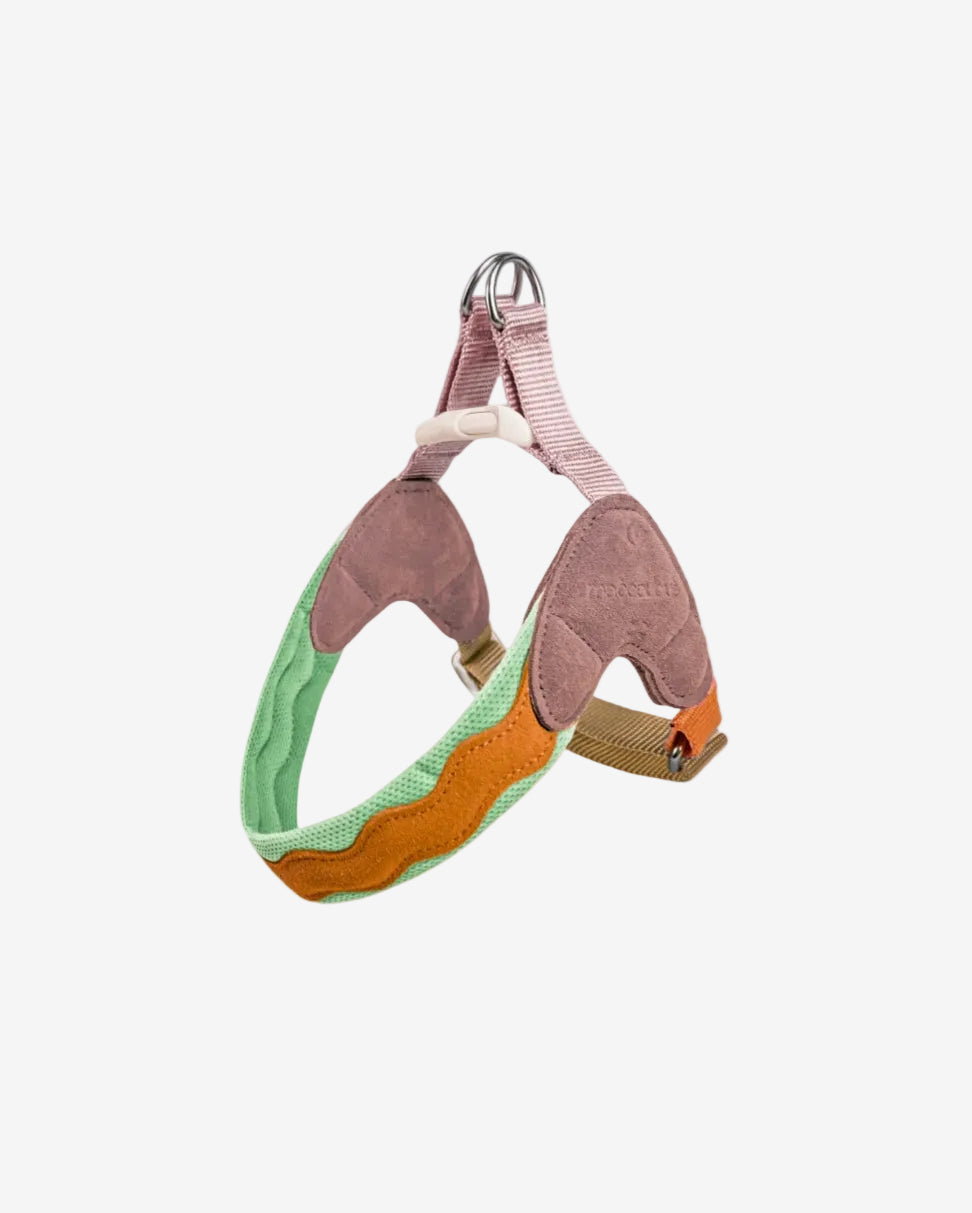 Island V-Shaped Dog Harness