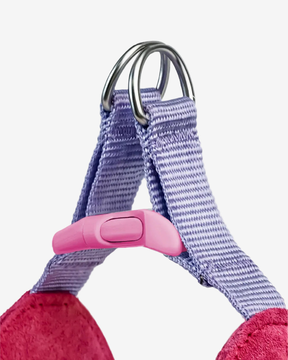 Island V-Shaped Dog Harness