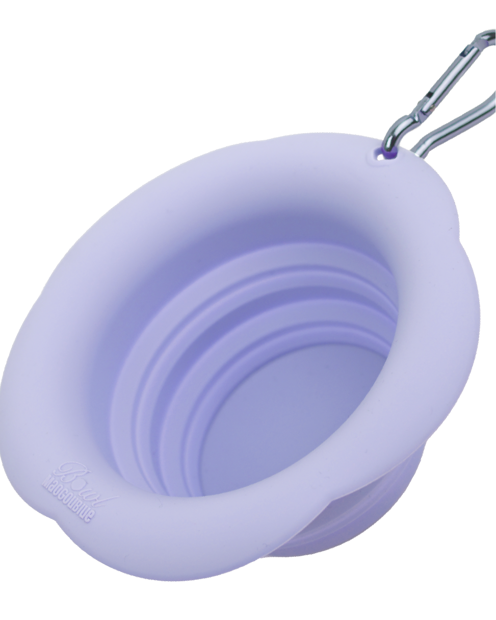 GLUG Collapsible Pet Bowl