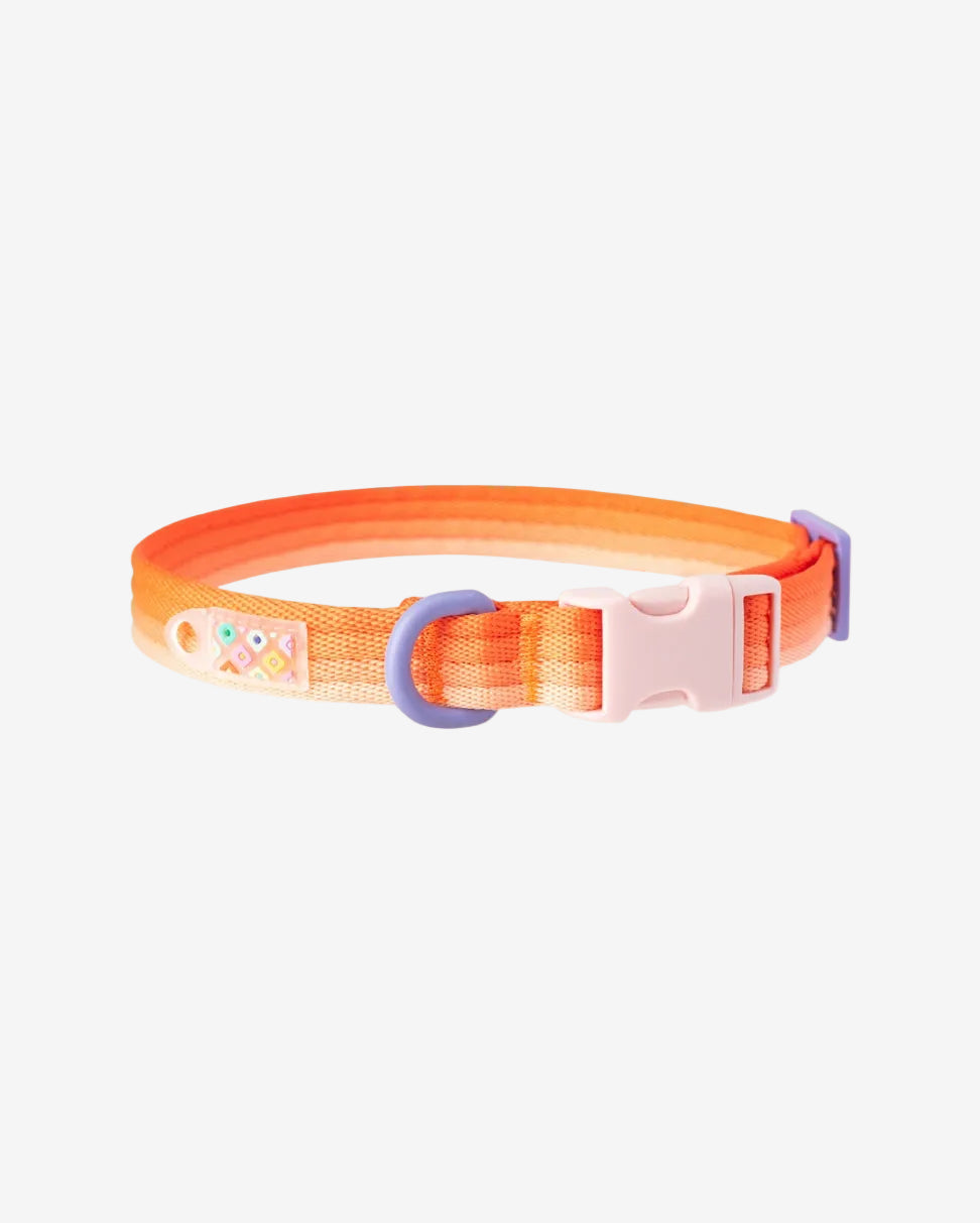 Marshmallow Dog Collar in sunset orange – gradient pastel design for dogs by MAYA