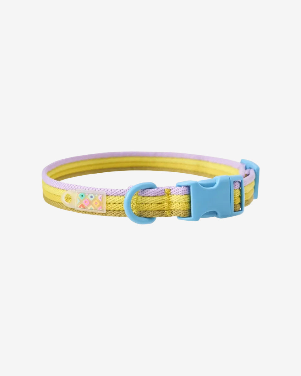 Marshmallow Dog Collar in purple and yellow – bright pastel gradient collar by MAYA