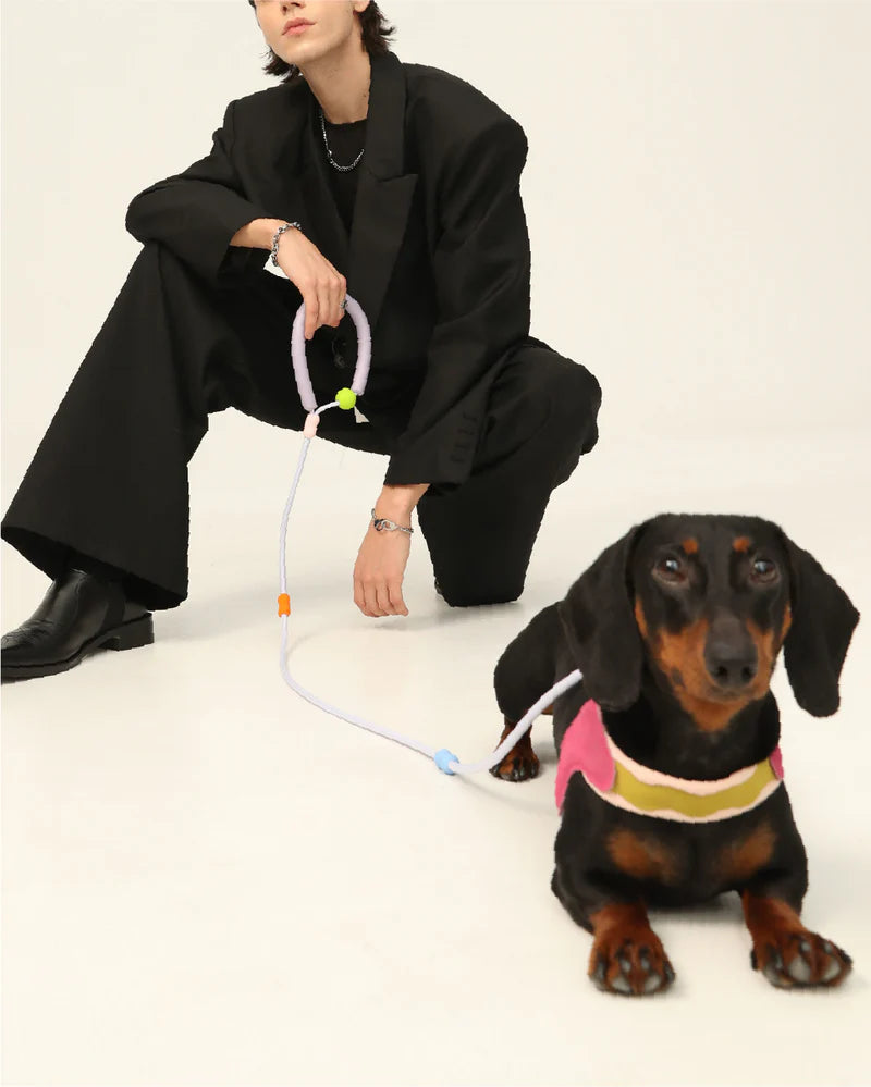 Person in black outfit with a small dog wearing a colorful marshmallow harness on a white background#color_pale-purple