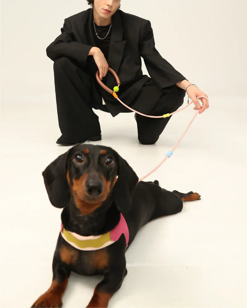 Souffle Multi-way Dog Slip Leash