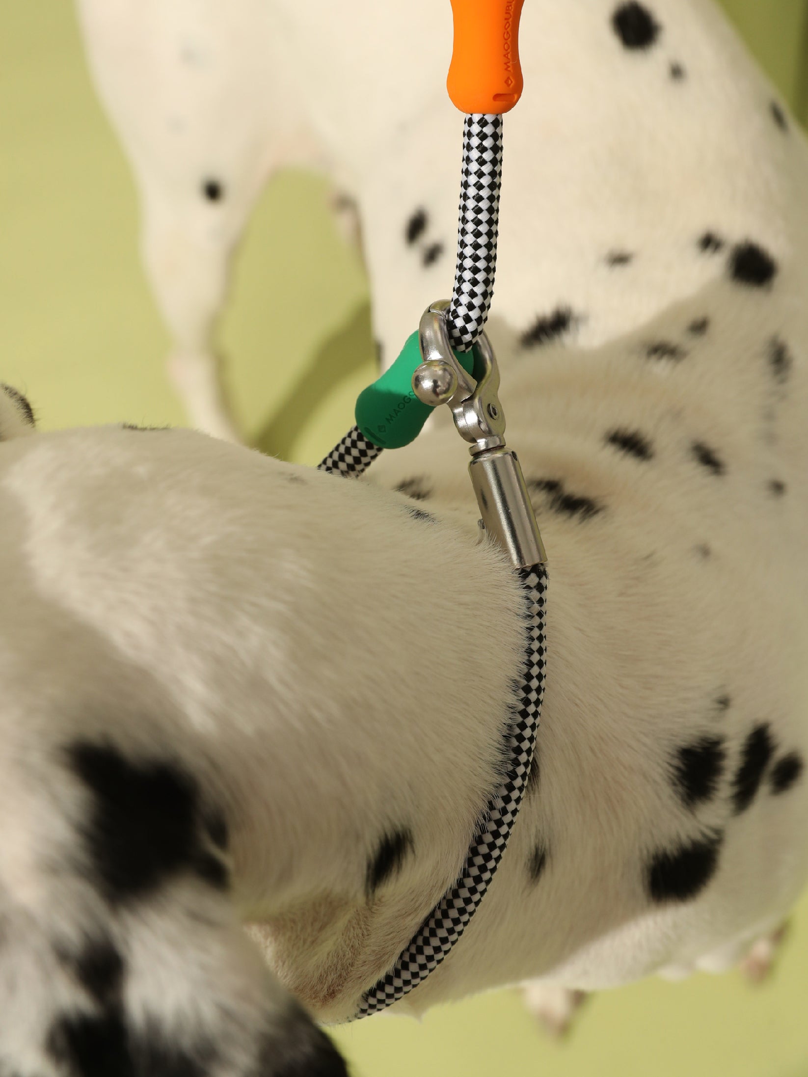 Souffle Multi-way Dog Slip Leash