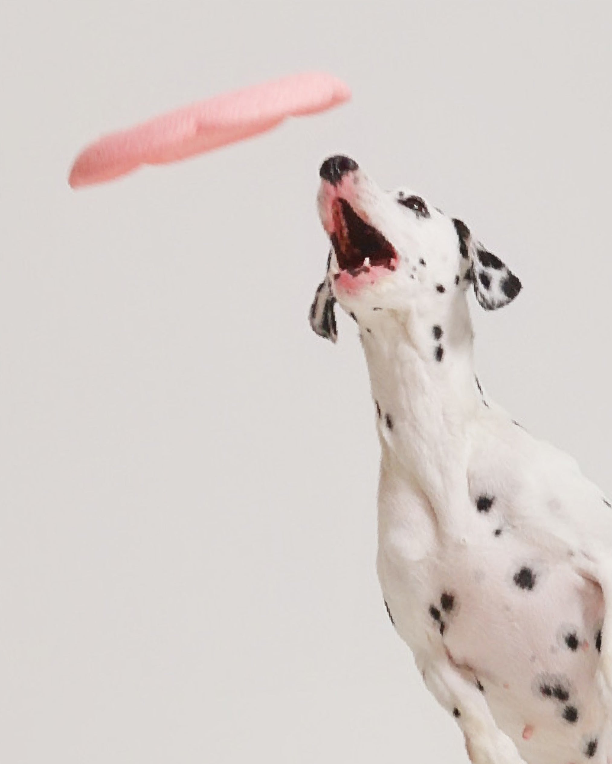 Marshmallow Multifunctional Flying Disc