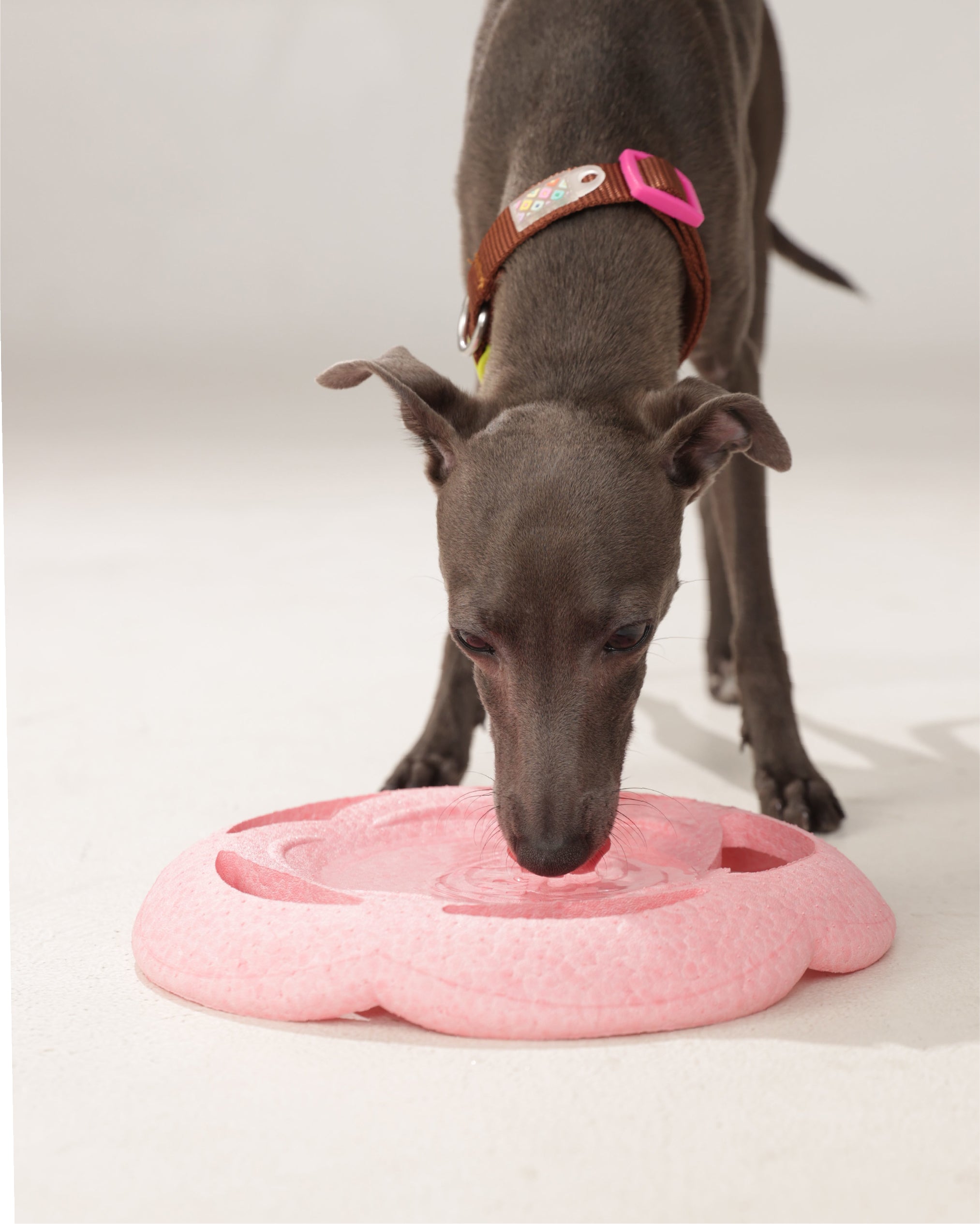 Marshmallow Multifunctional Flying Disc