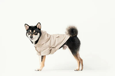 Bowery Raincoat - Beige