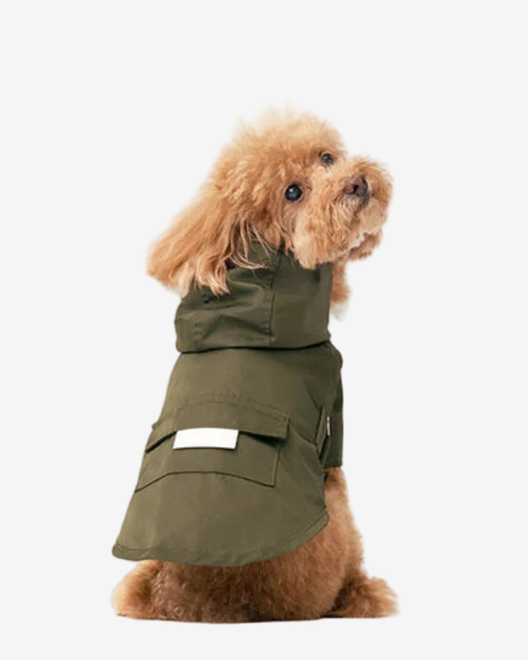 Bowery Raincoat - Green