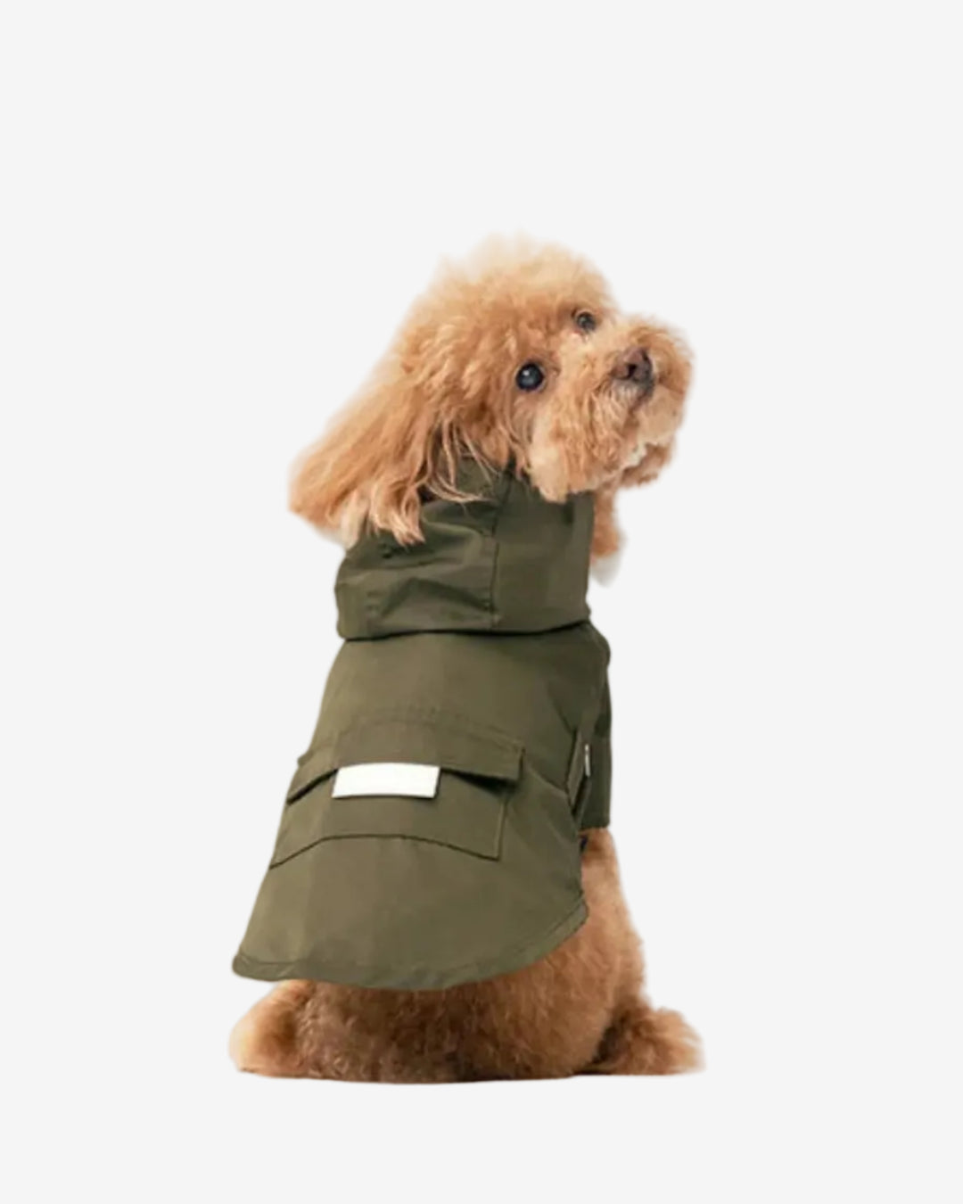 Bowery Raincoat - Green