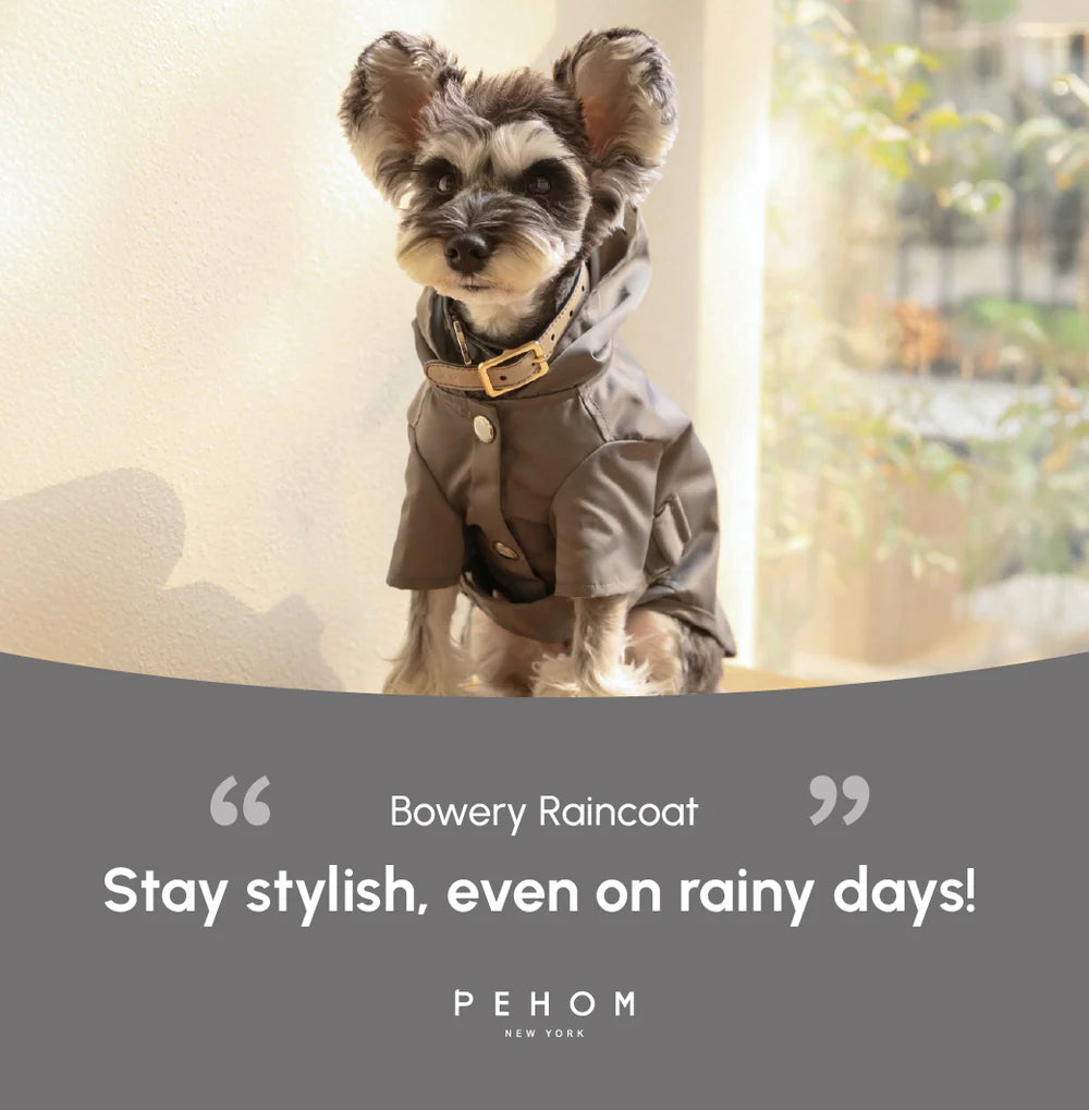 Bowery Raincoat - Grey