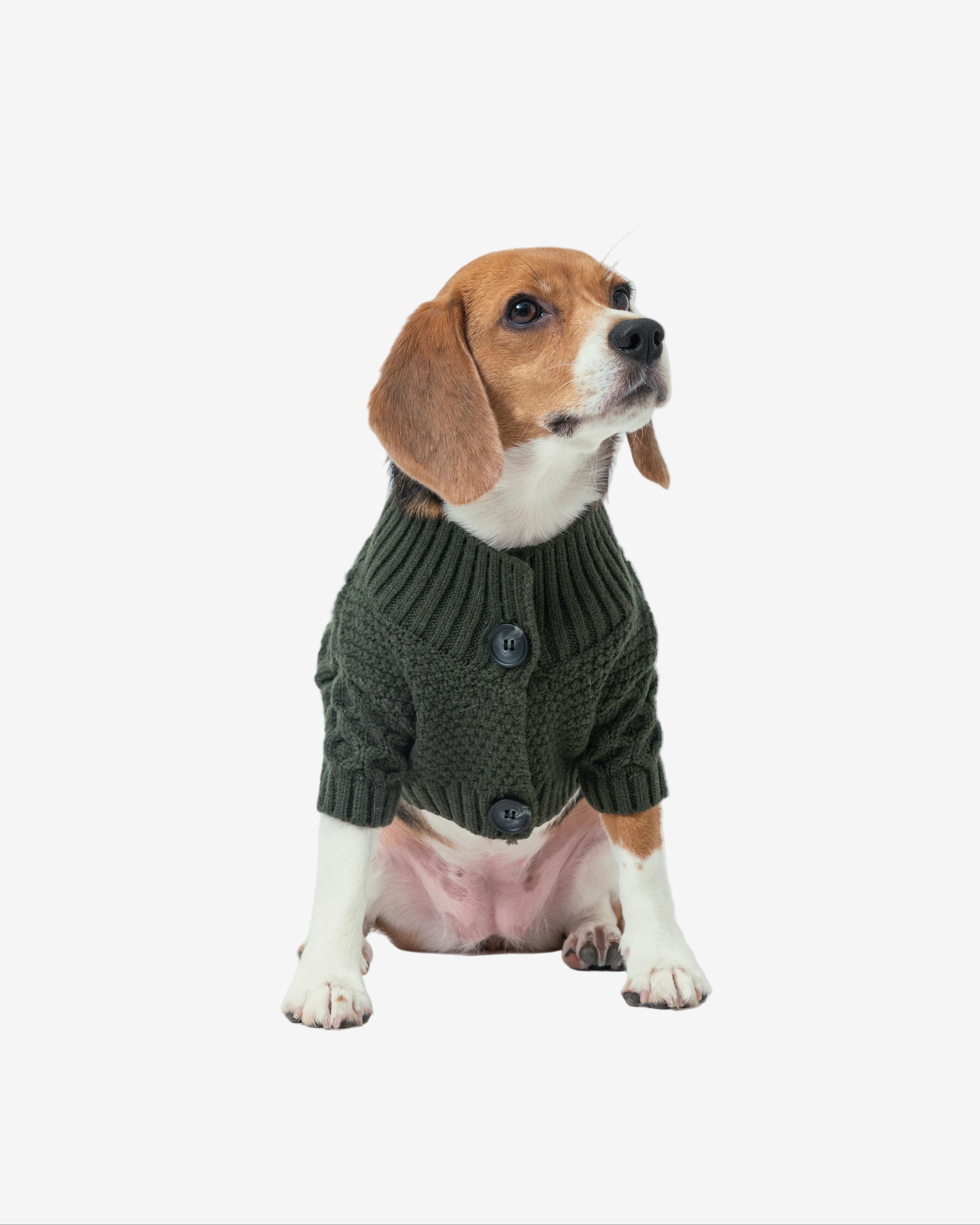 Bert Cardigan Pet Sweater