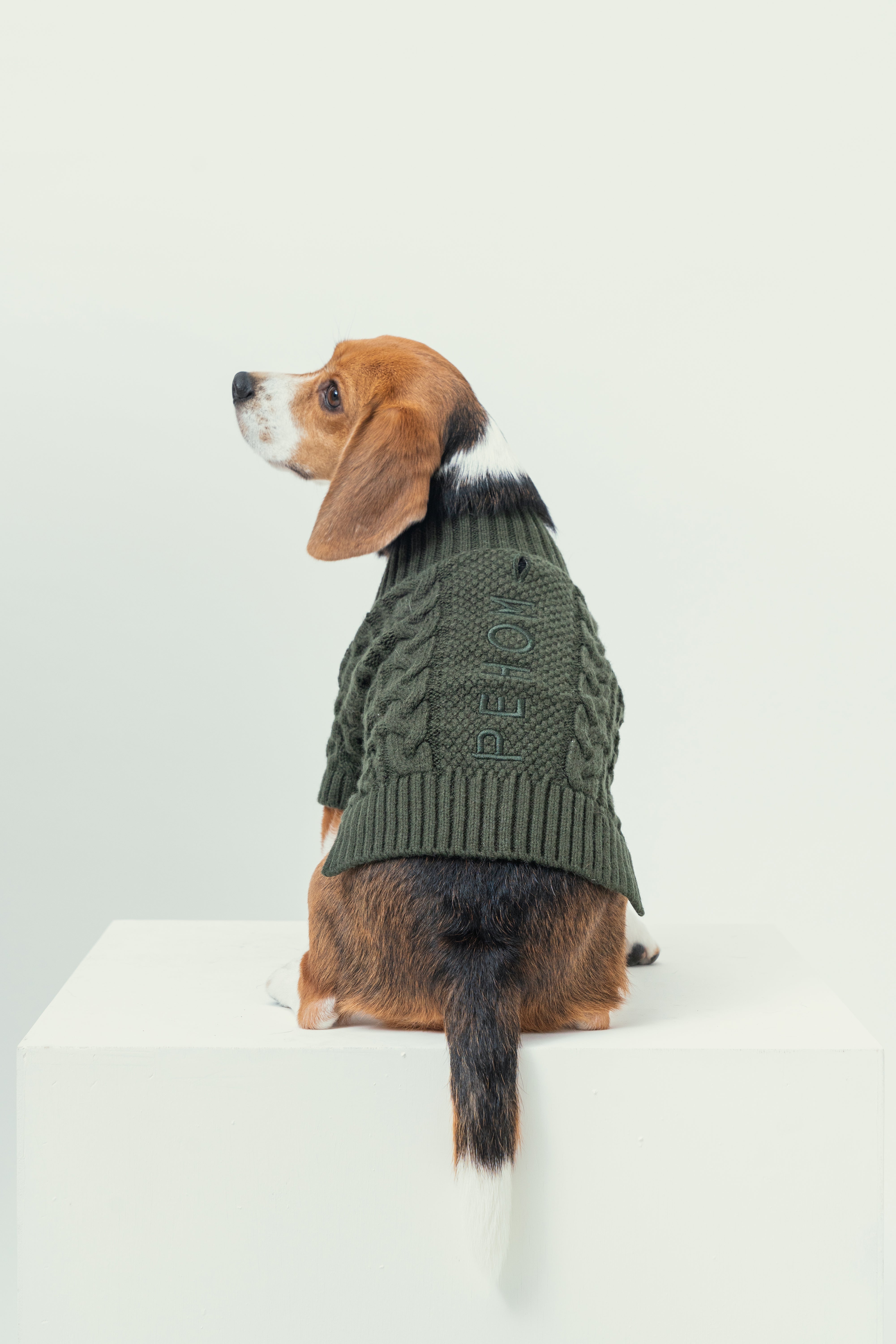 Bert Cardigan Pet Sweater