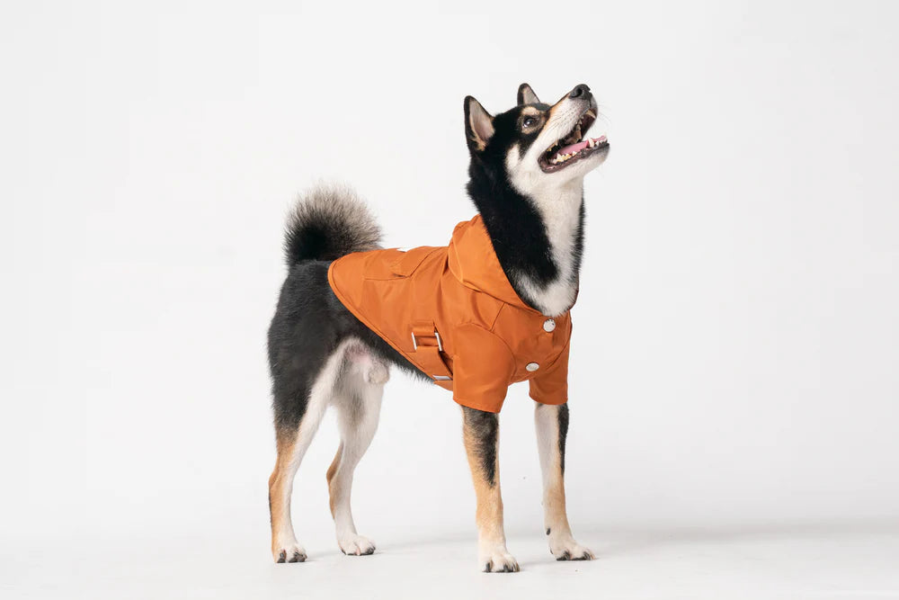 Bowery Raincoat - Orange