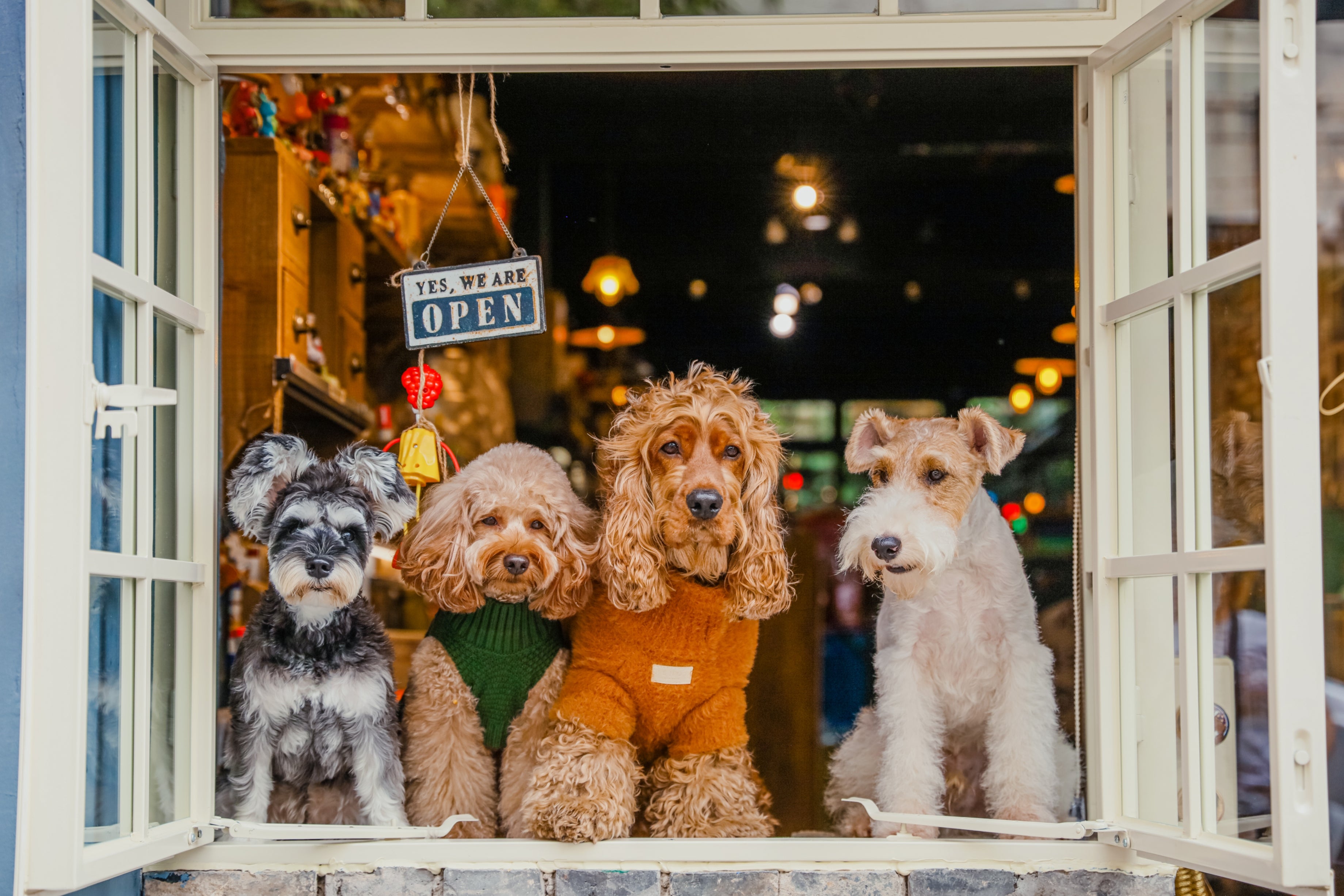 Eskimo Fuzzy Pet Sweater
