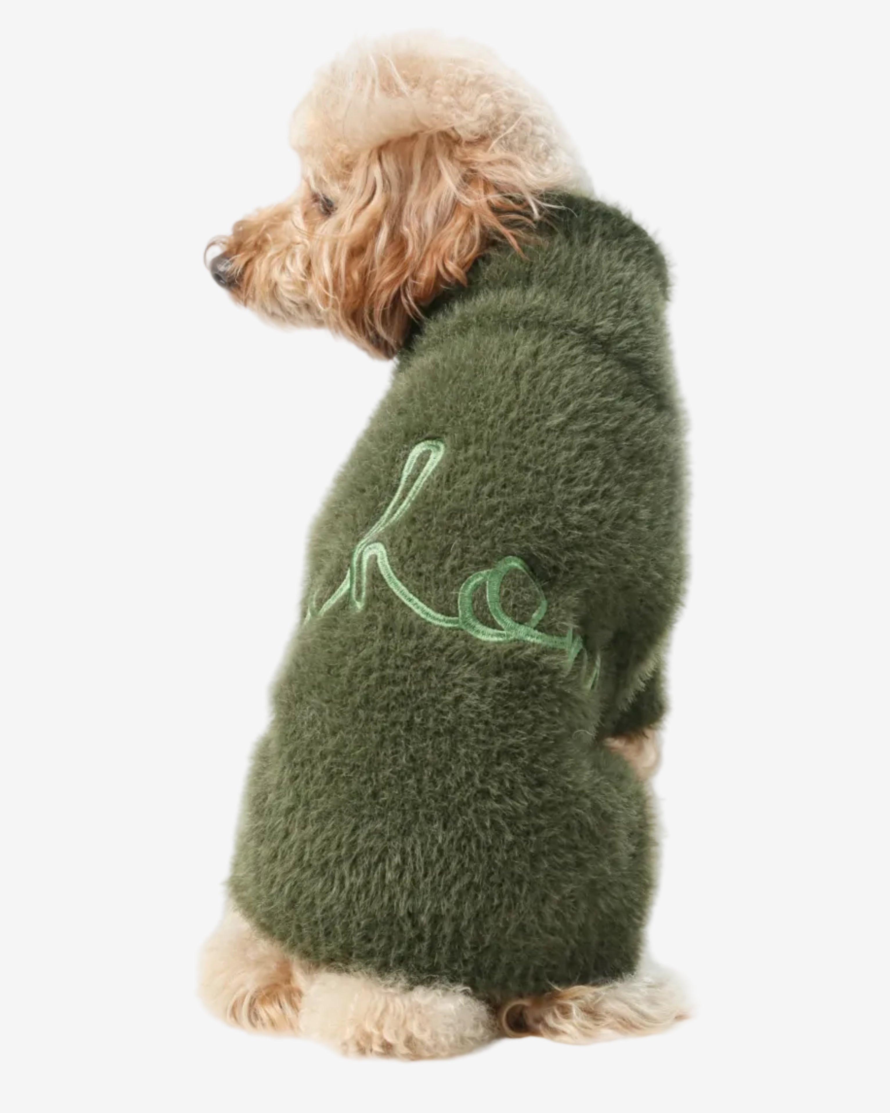Dog wearing a green sweater with 'Love' embroidered on it against a white background
