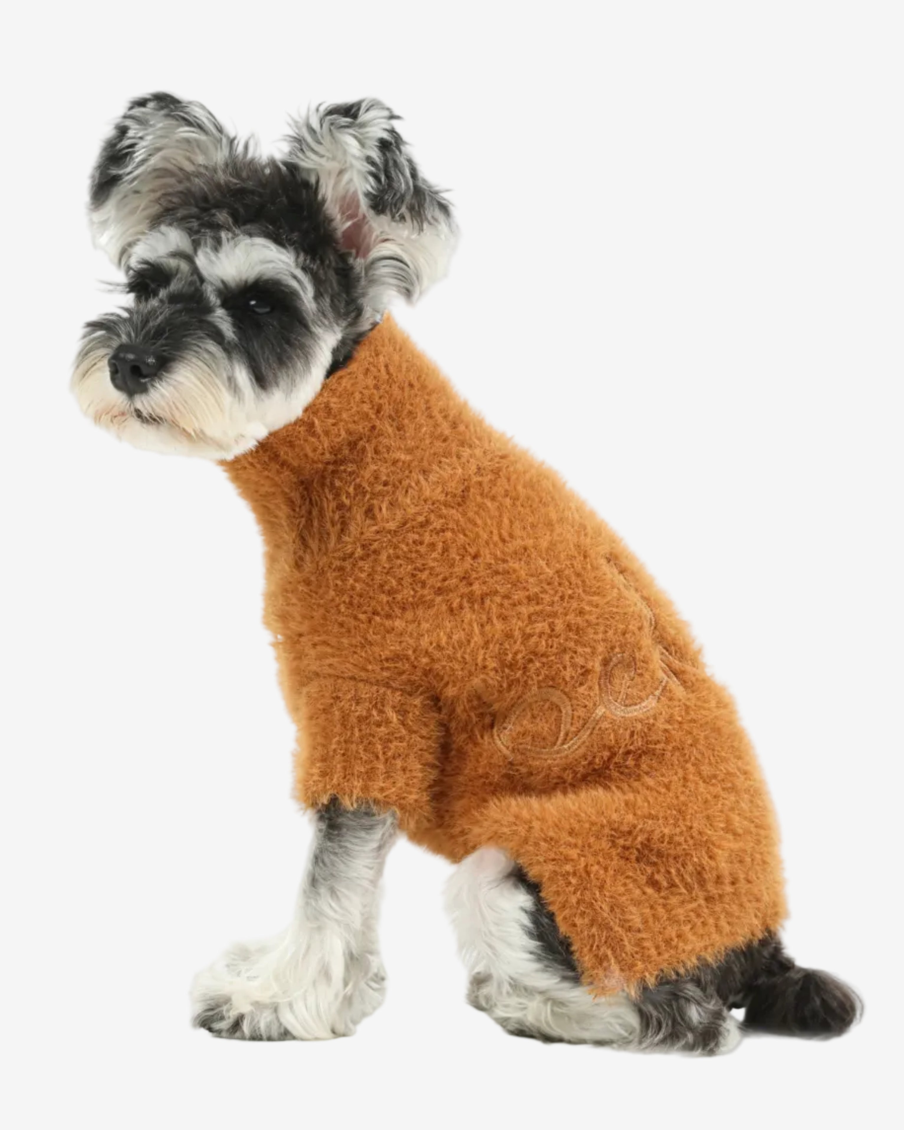 Small dog wearing an orange sweater on a white background