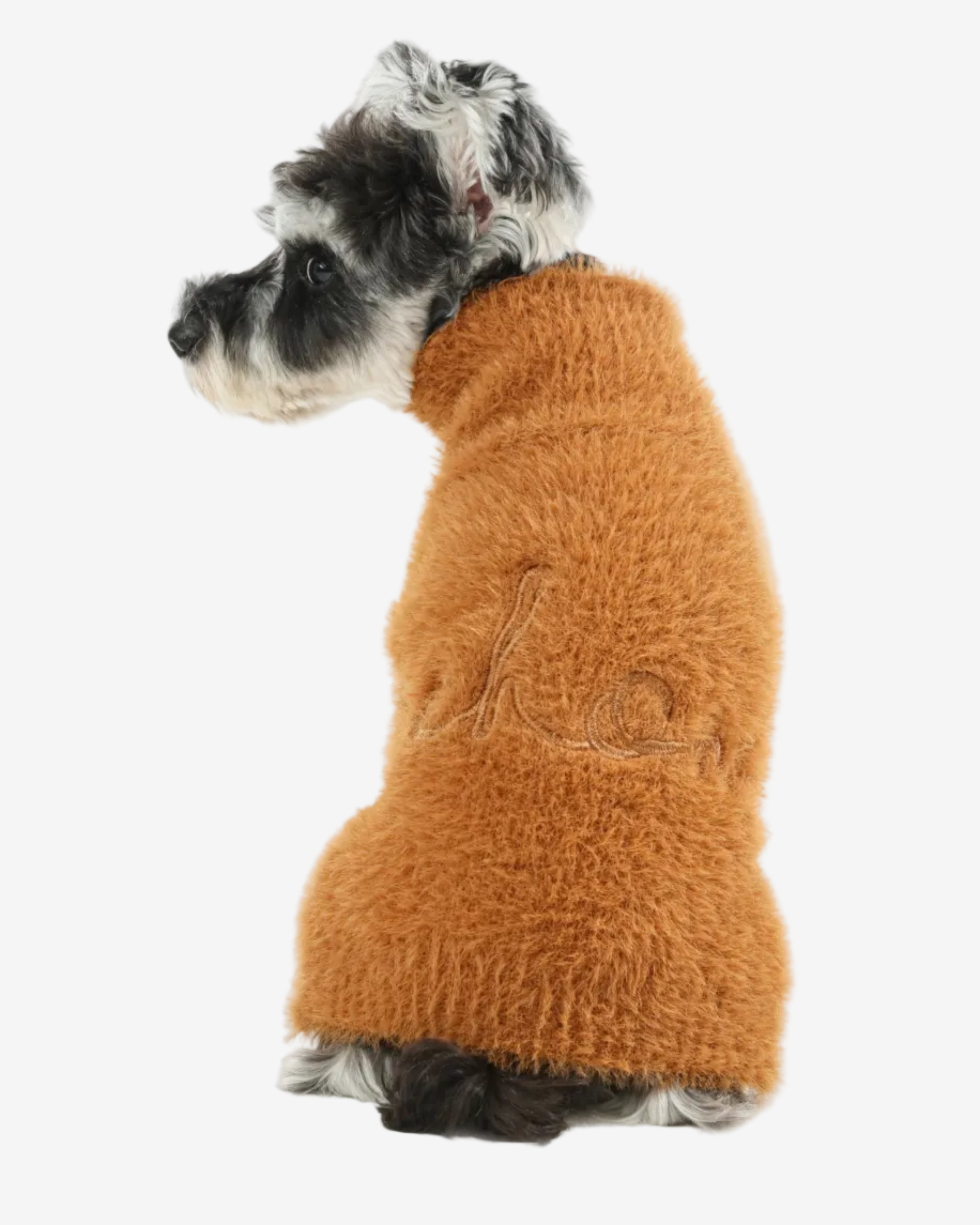 Dog wearing a brown knitted sweater on a white background