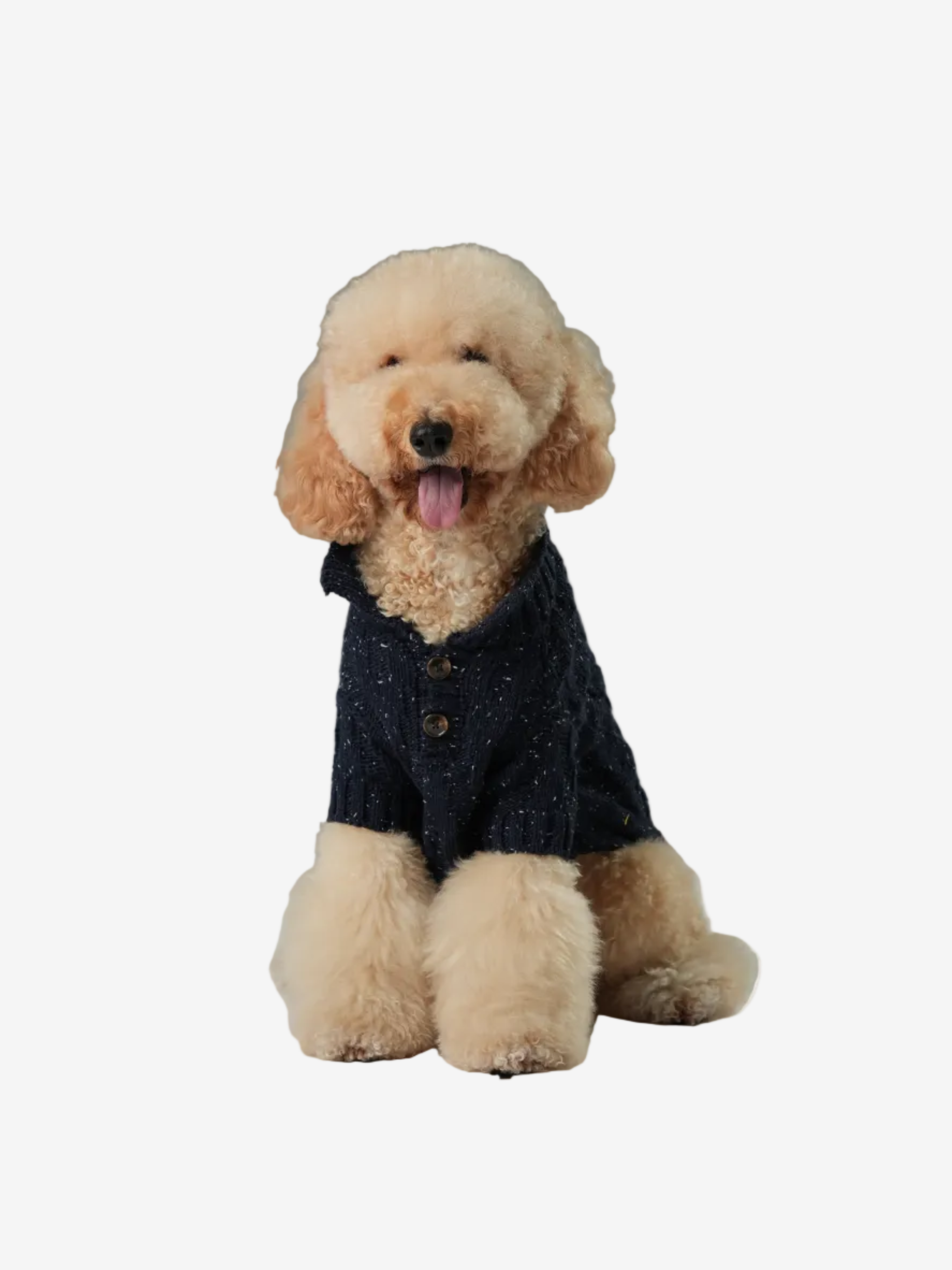 Glacier Pet Sweater - Navy Blue