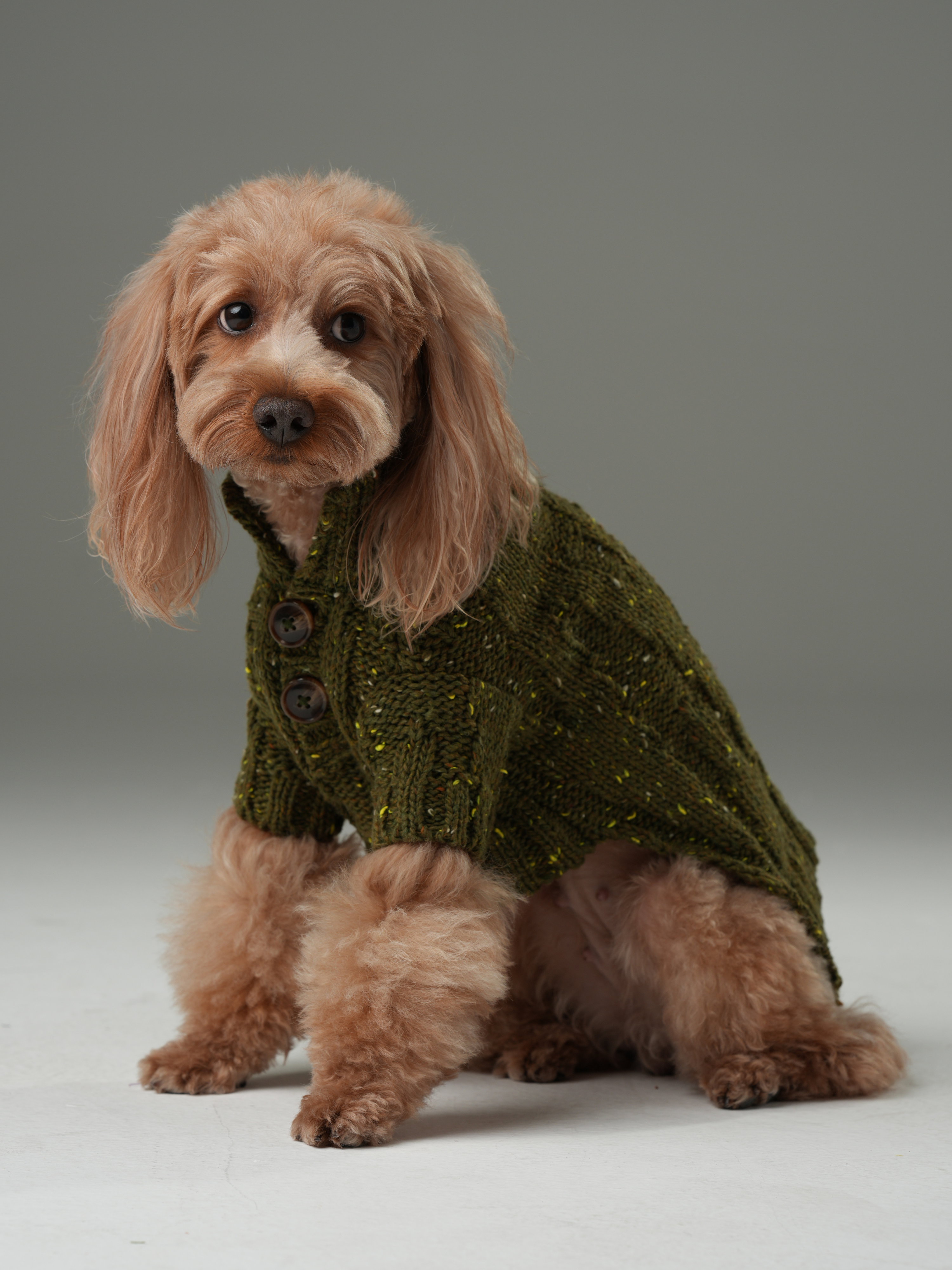 Glacier Pet Sweater - Olive Green