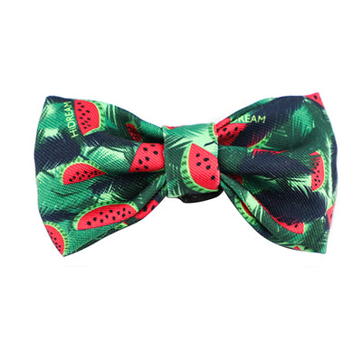Pet Bow Tie