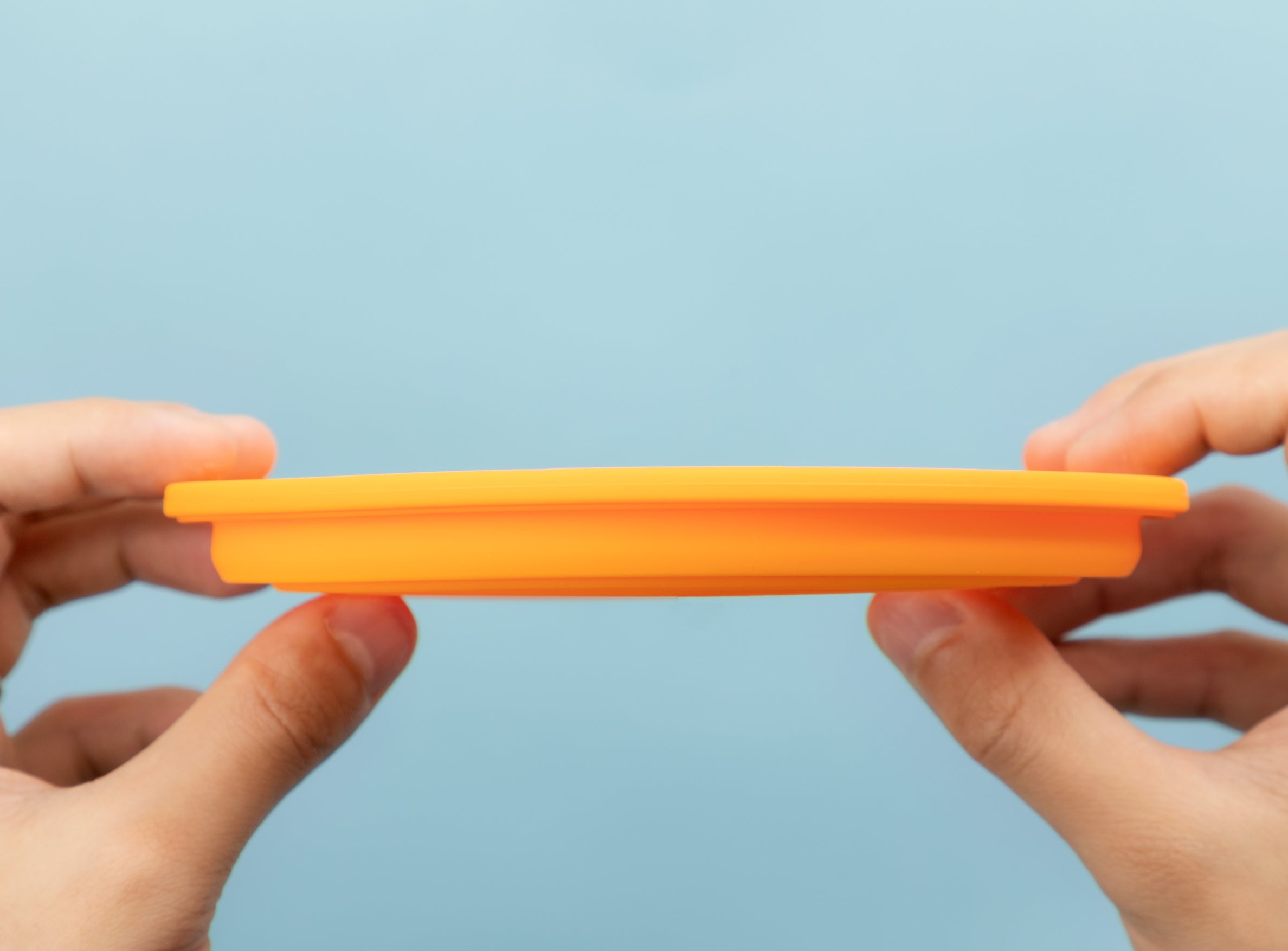 Silicone Collapsible Travel Bowl for Pets