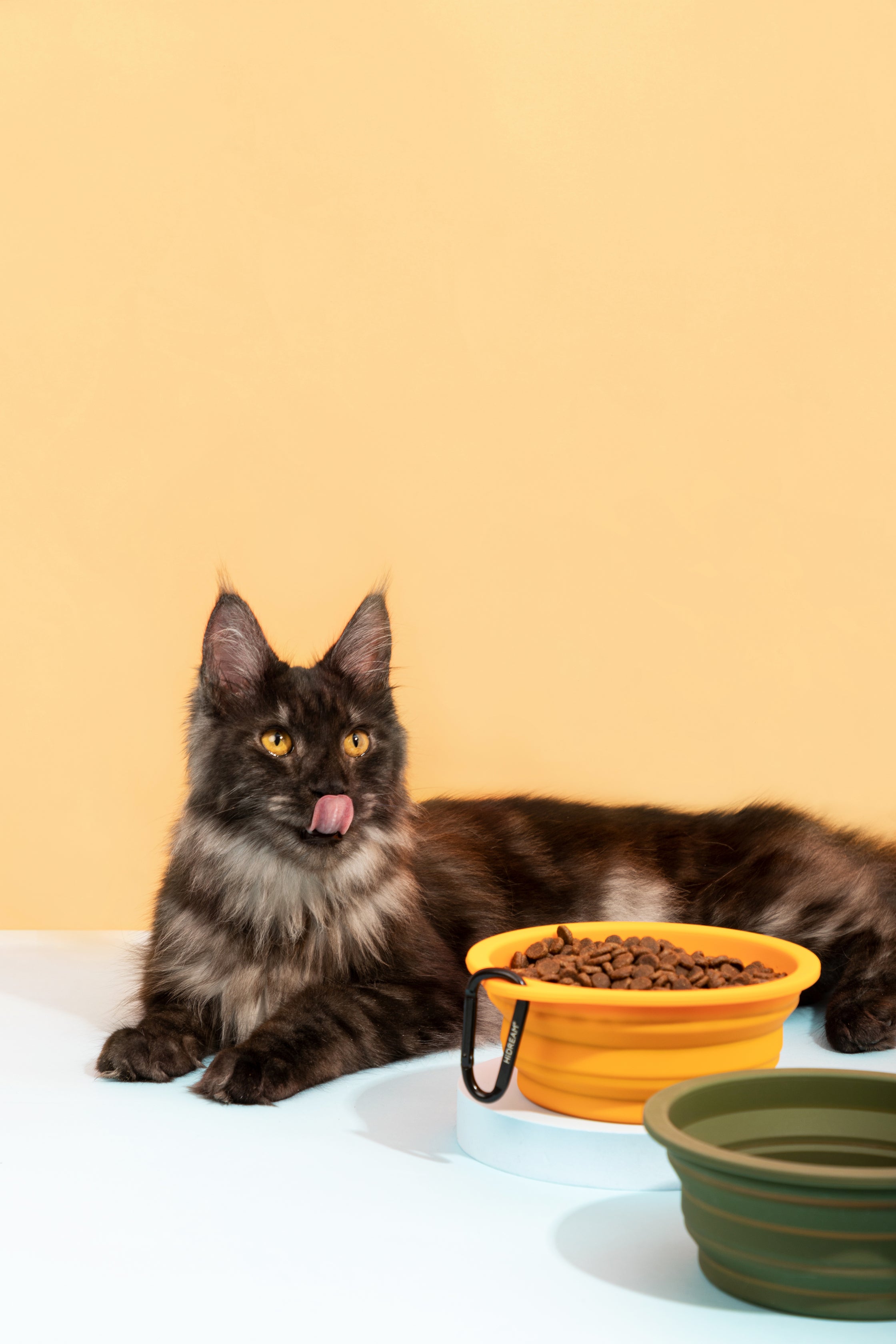 Silicone Collapsible Travel Bowl for Pets