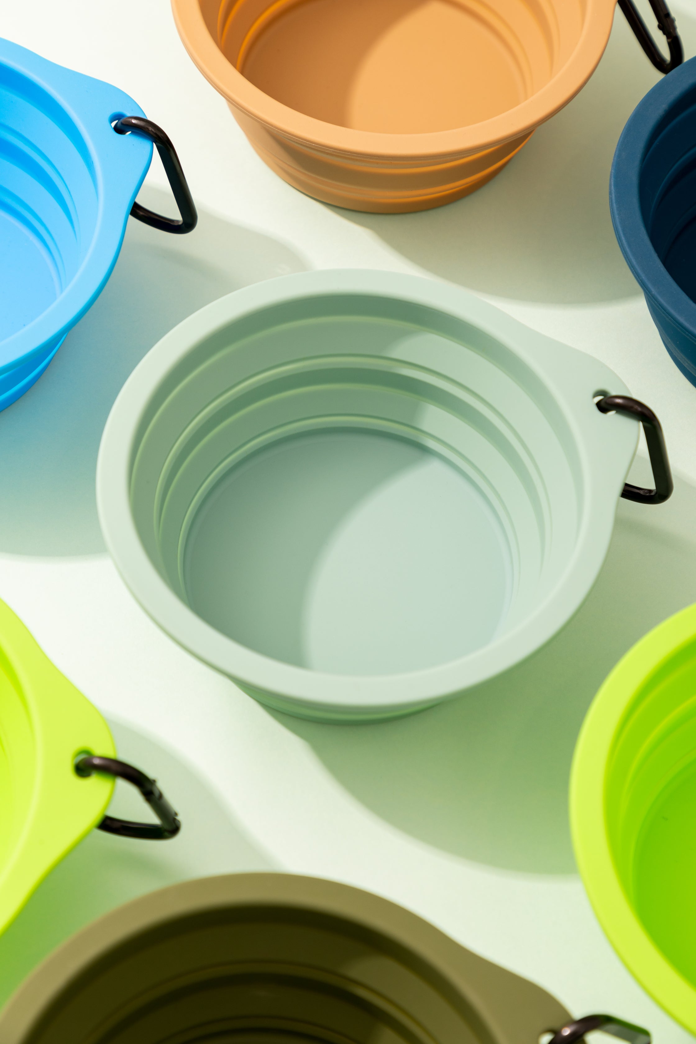 Silicone Collapsible Travel Bowl for Pets
