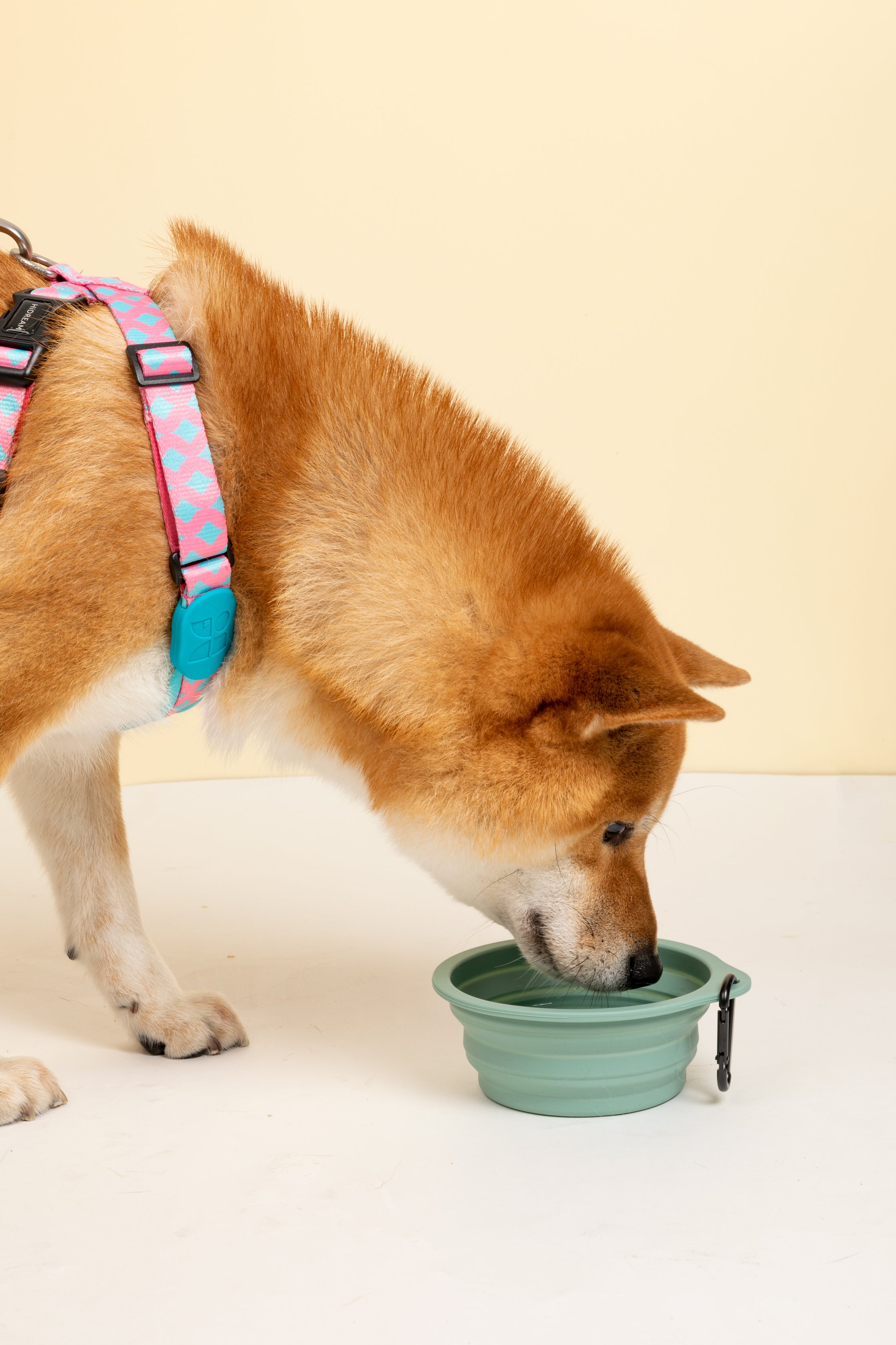 Silicone Collapsible Travel Bowl for Pets