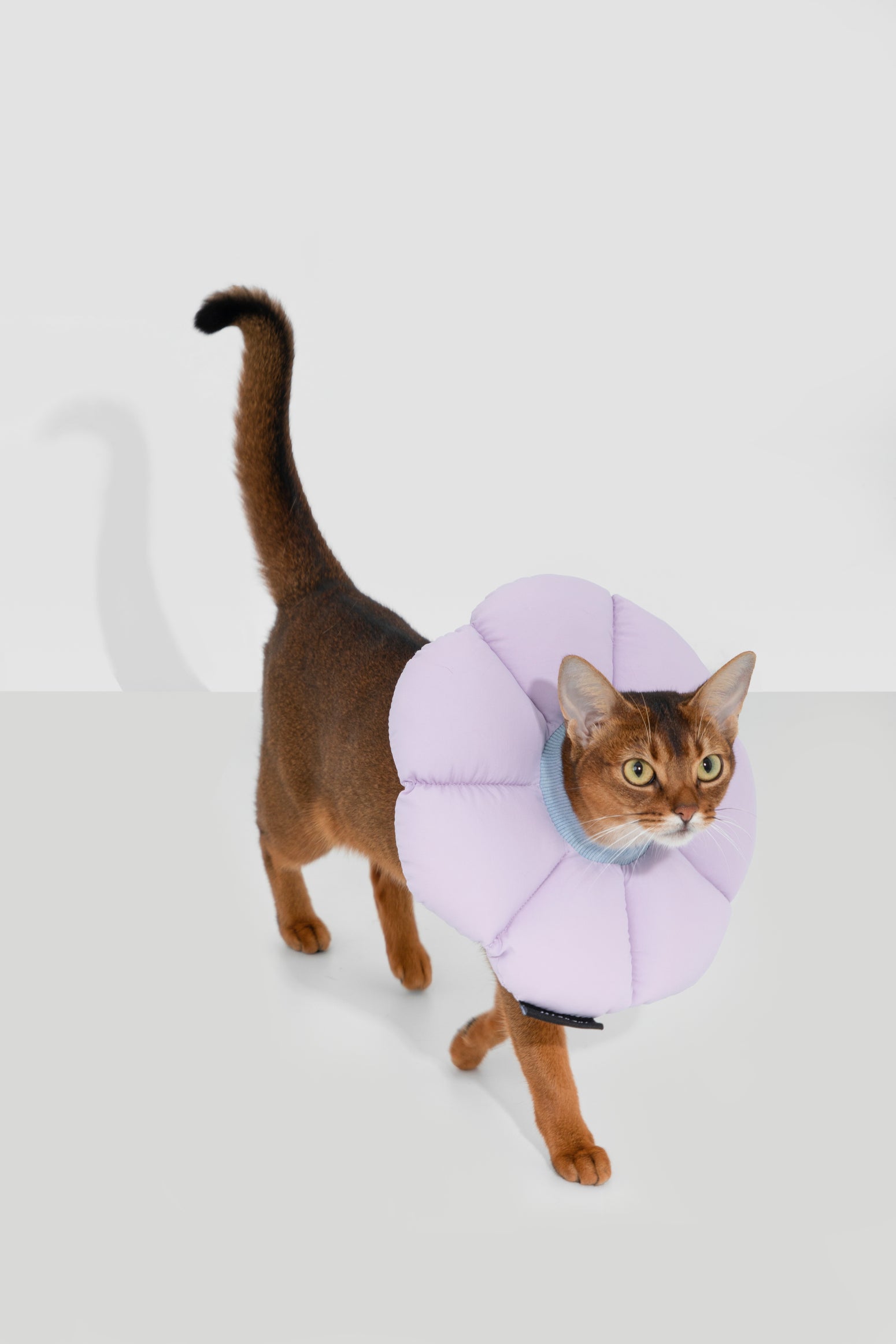 Floral Pet Recovery Collar