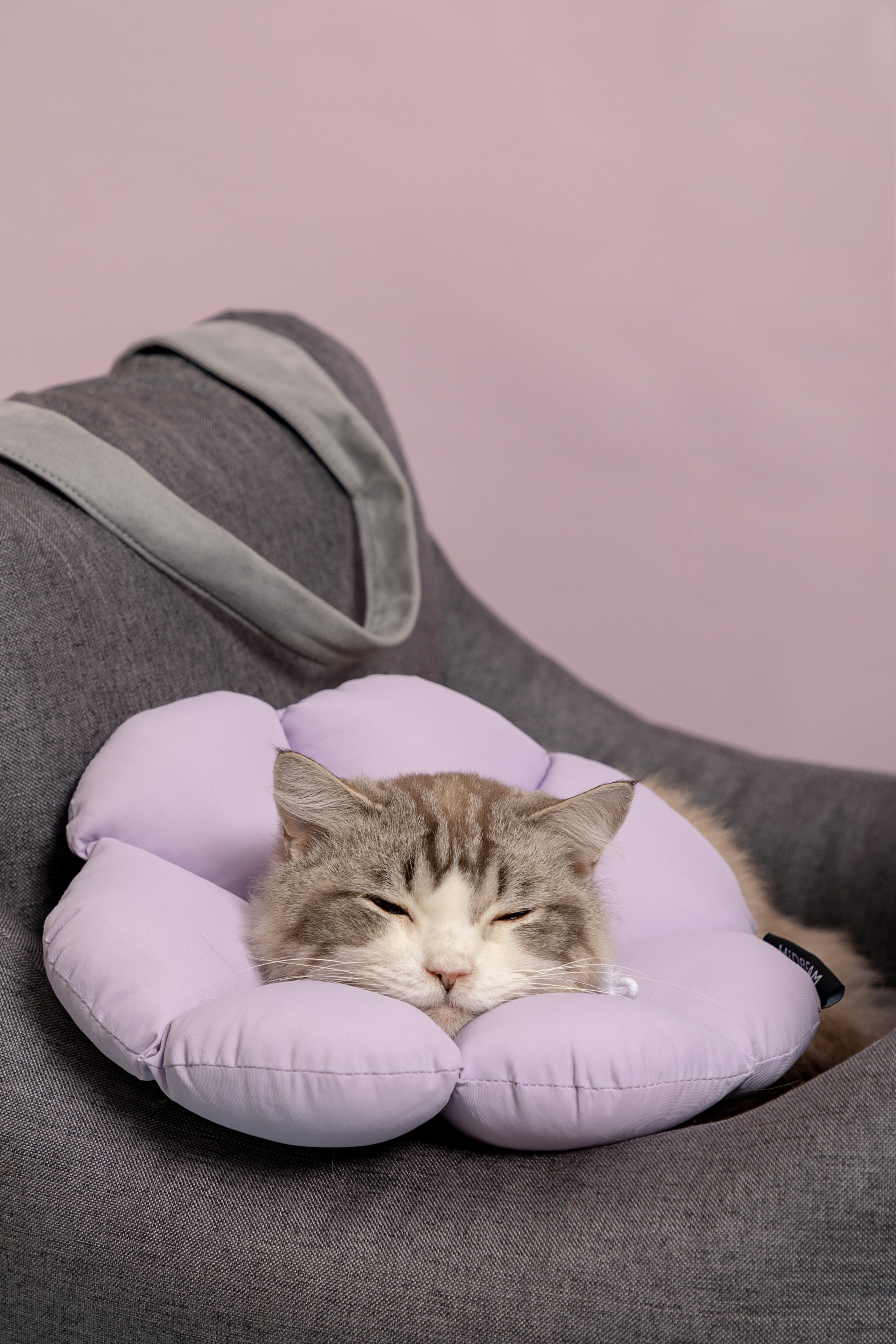 Floral Pet Recovery Collar