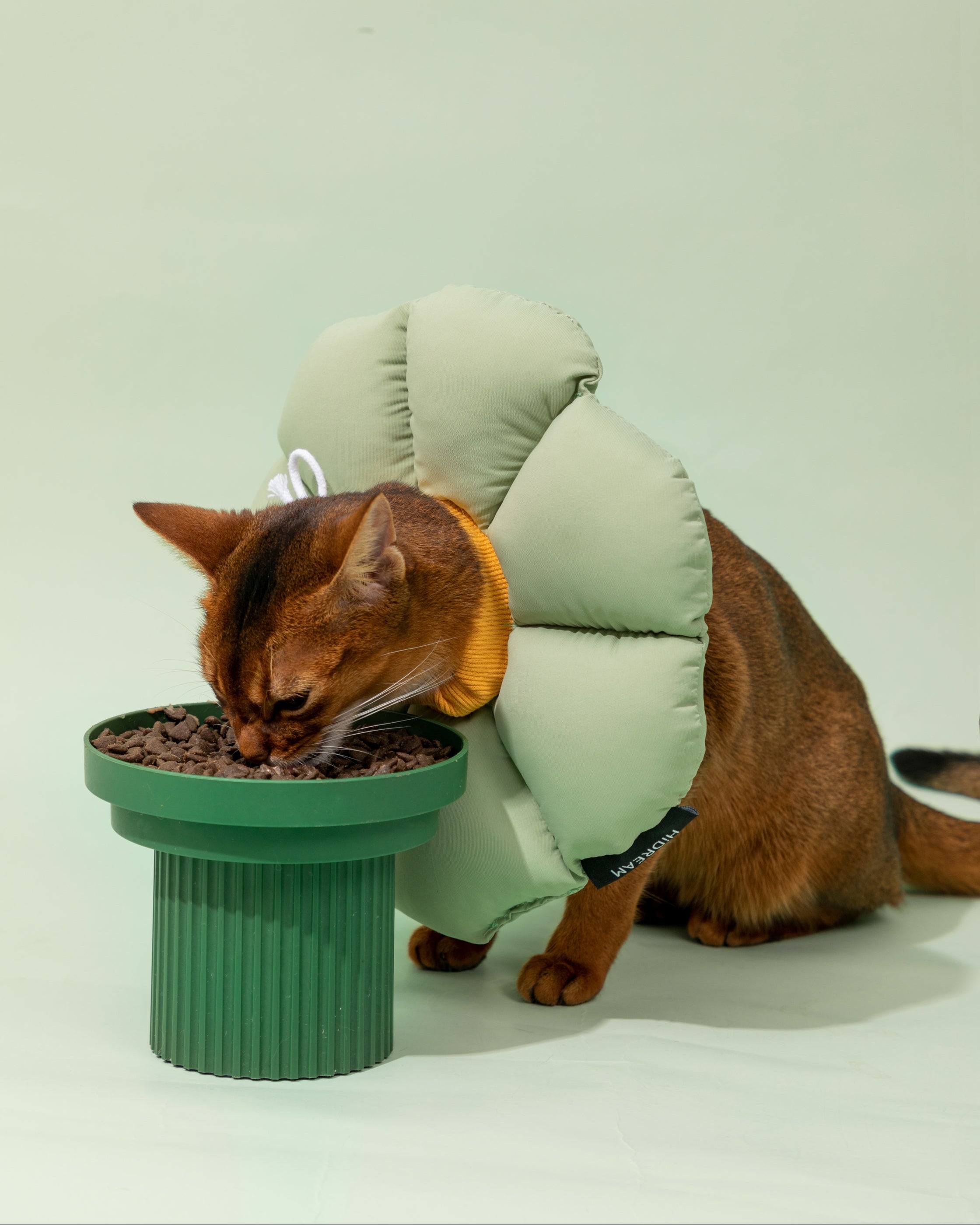 Floral Pet Recovery Collar