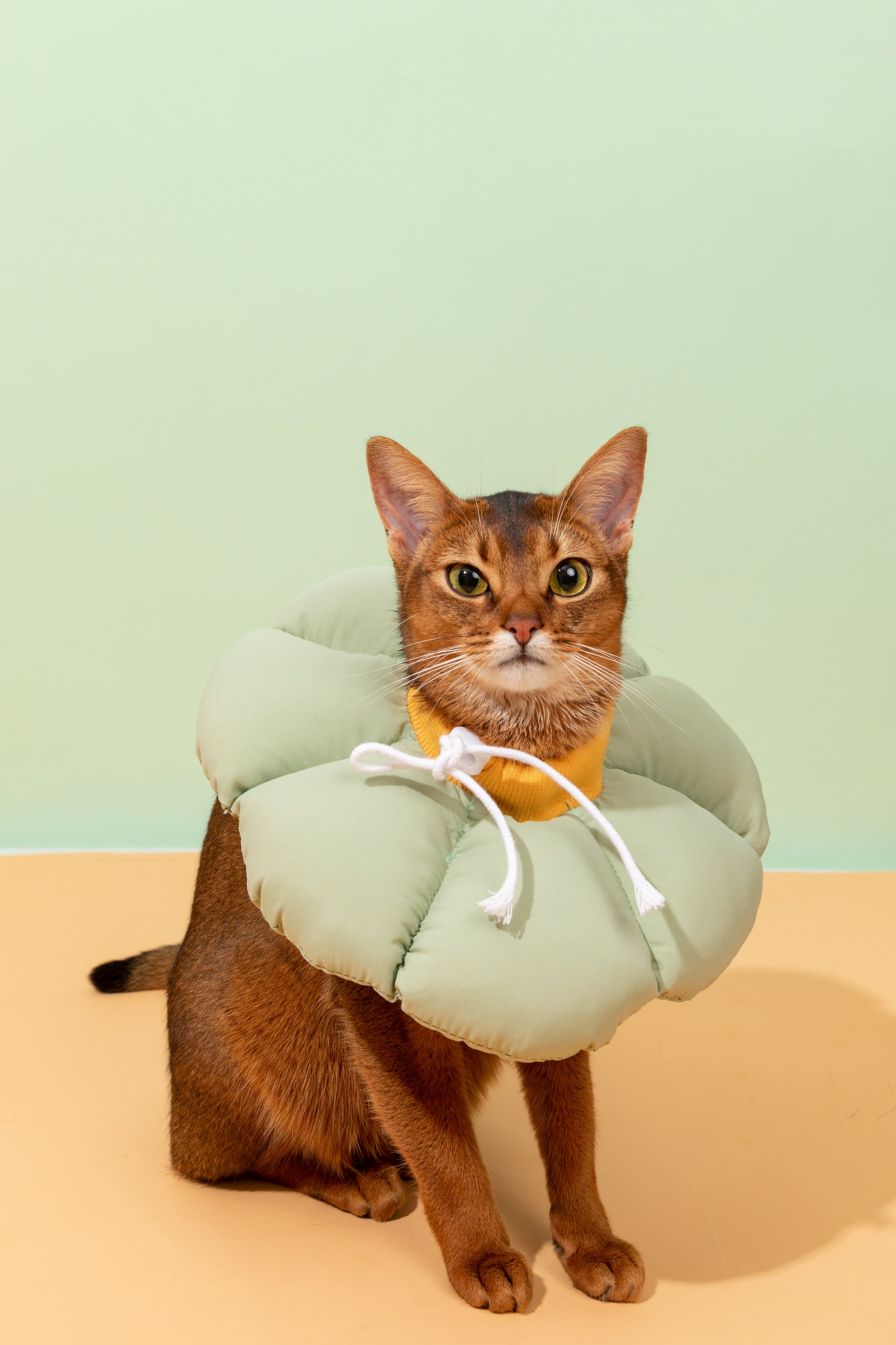 Floral Pet Recovery Collar