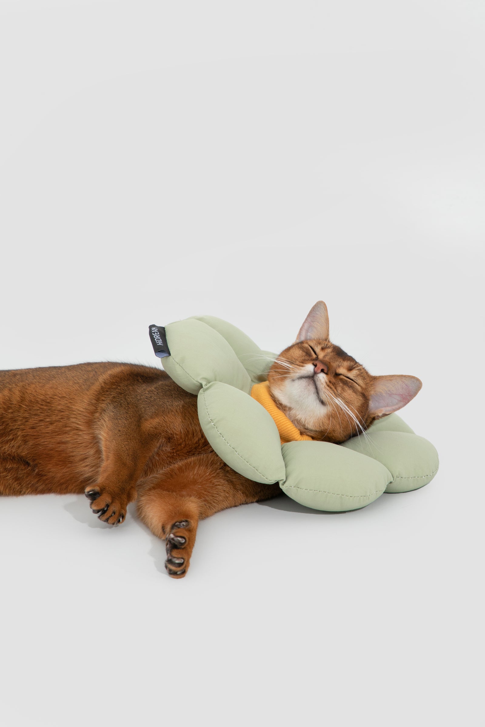 Floral Pet Recovery Collar
