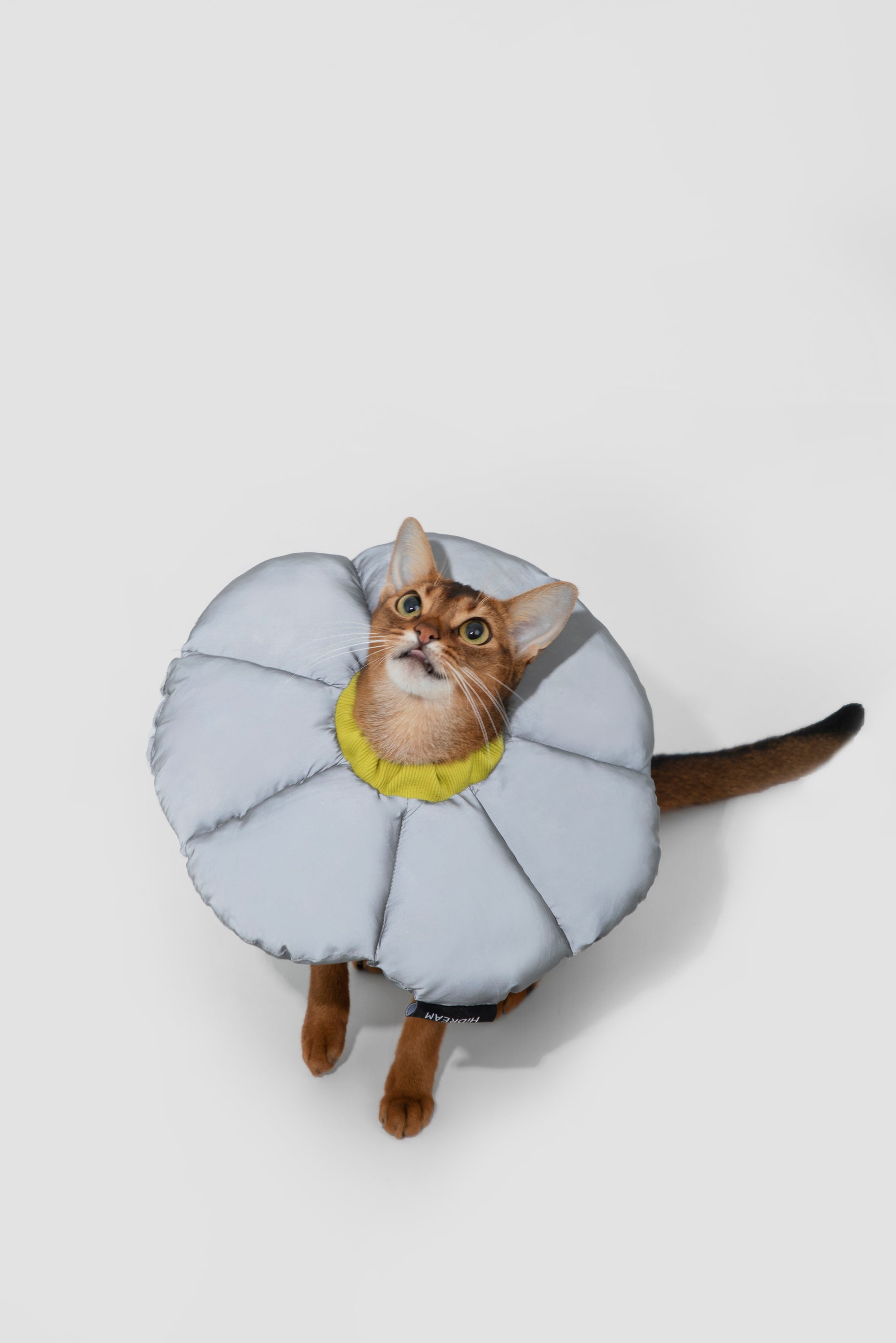Floral Pet Recovery Collar