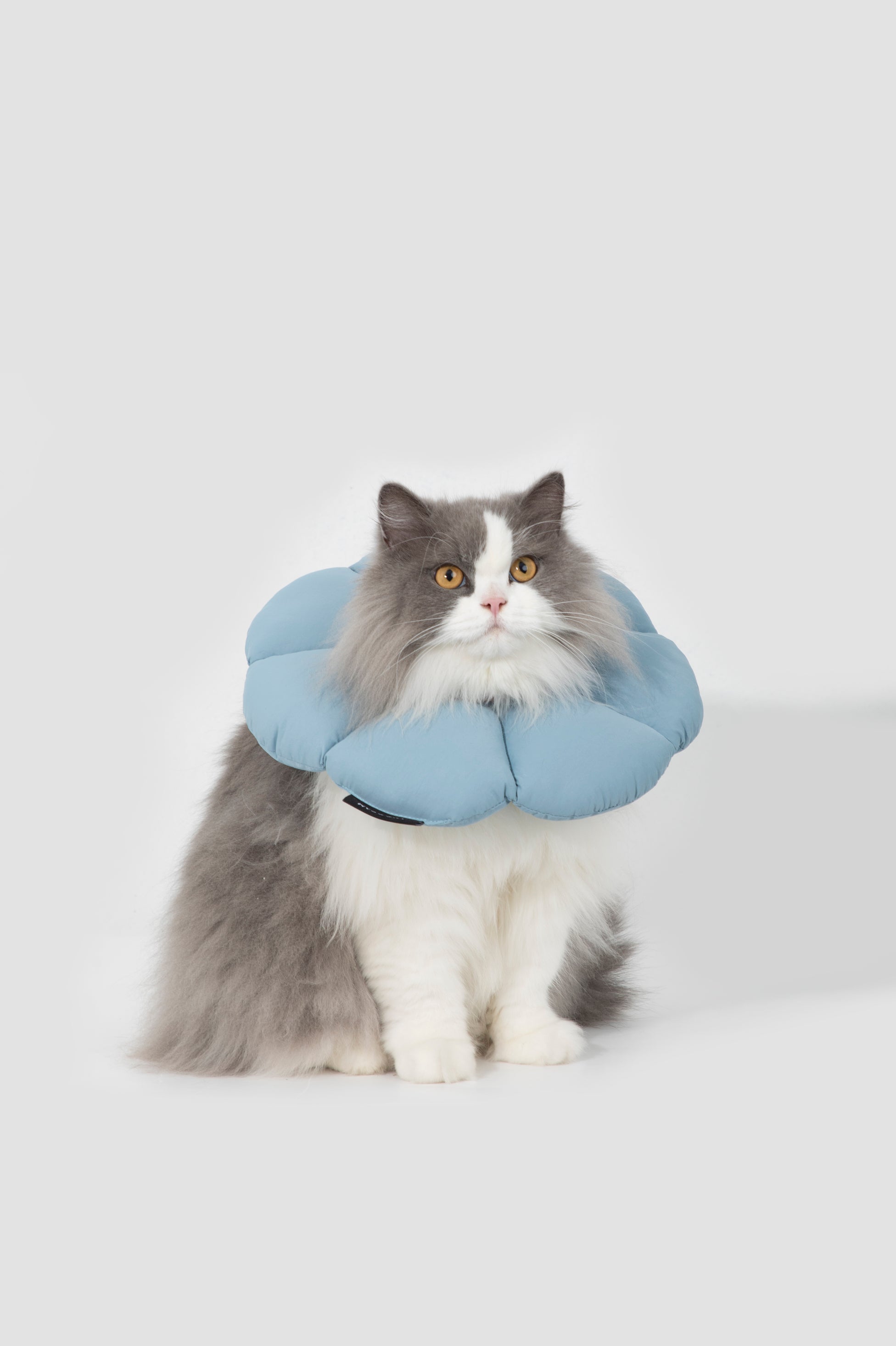 Floral Pet Recovery Collar