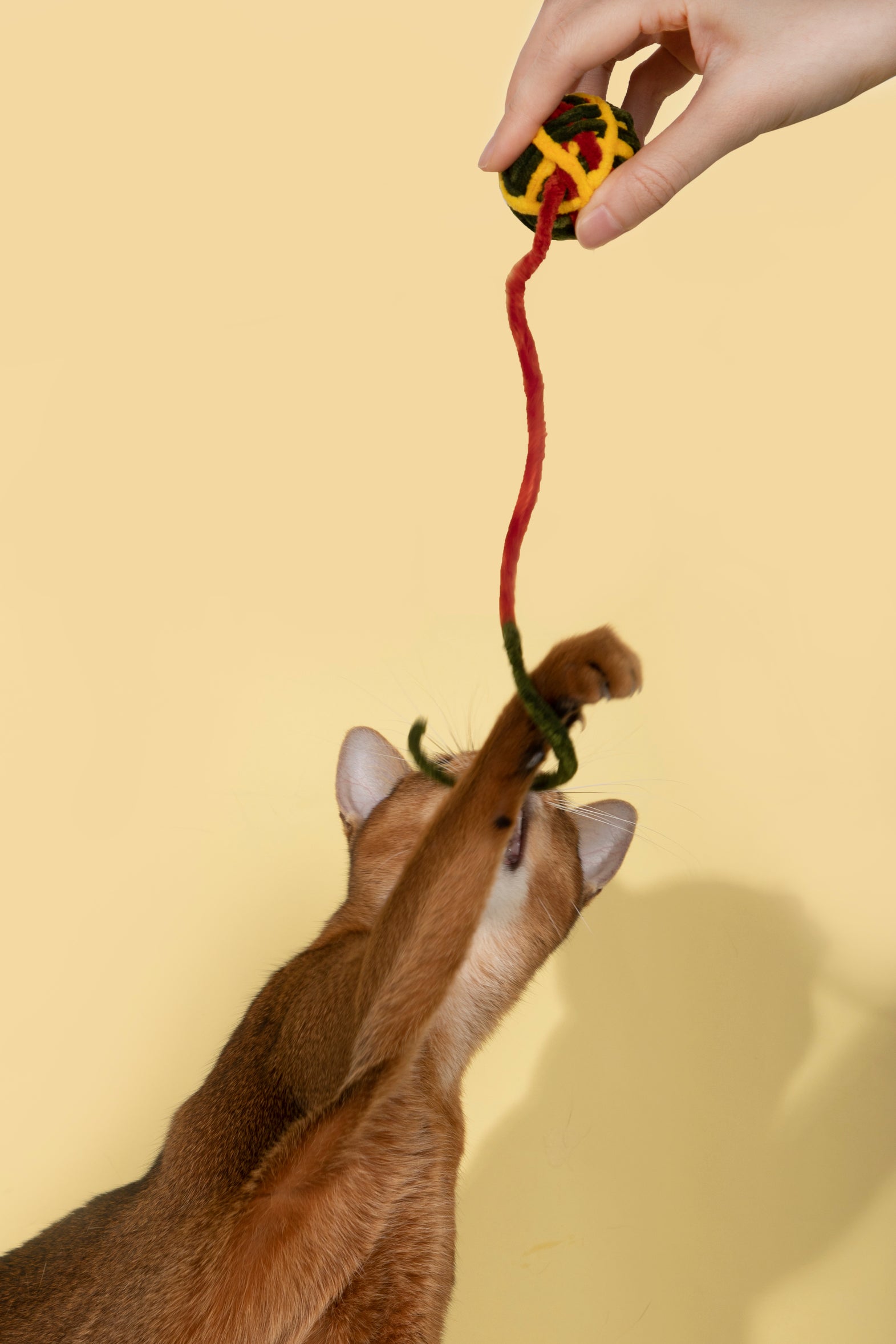 Fluffy Yarn Ball Toy for Cats