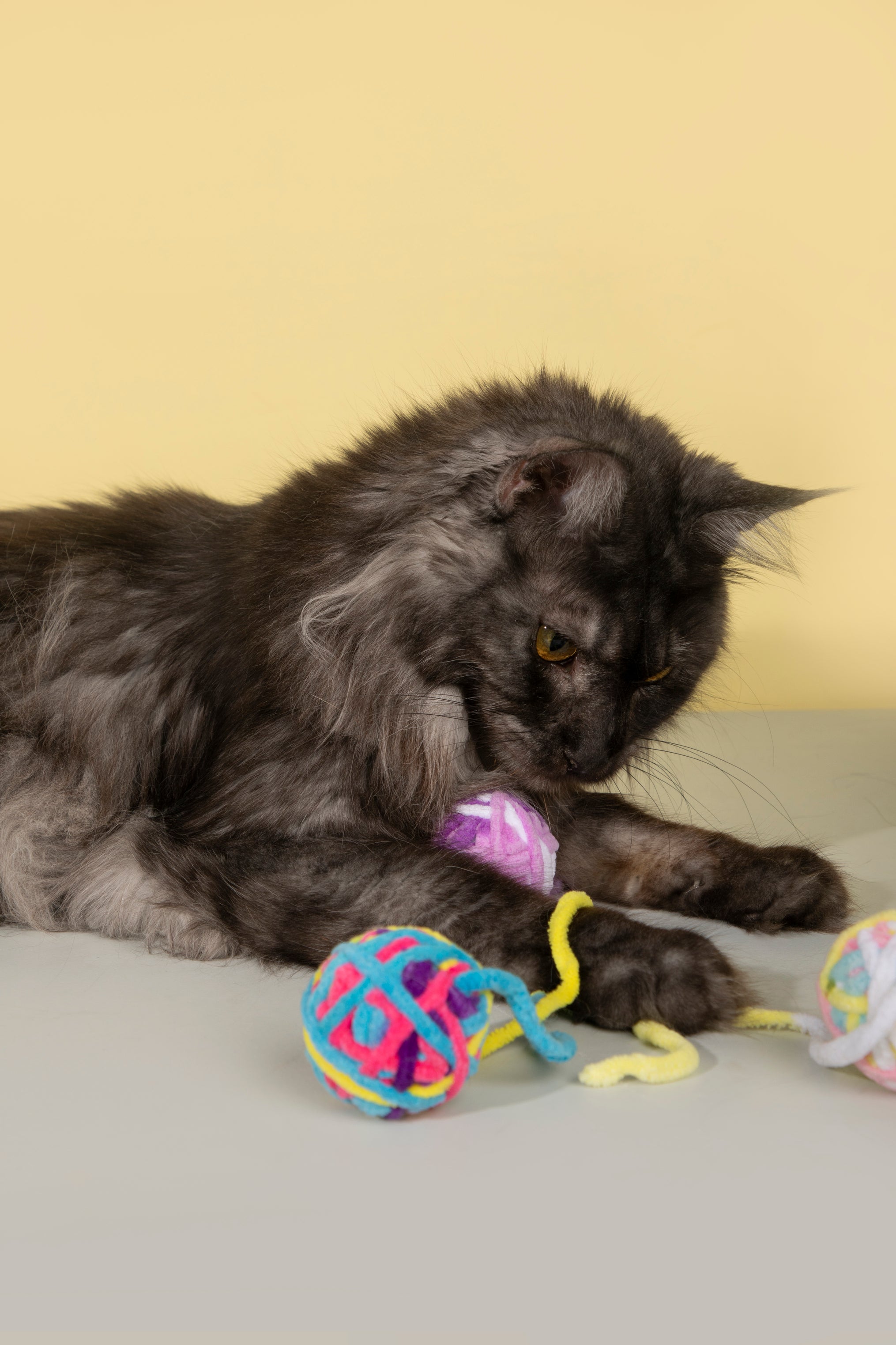 Fluffy Yarn Ball Toy for Cats