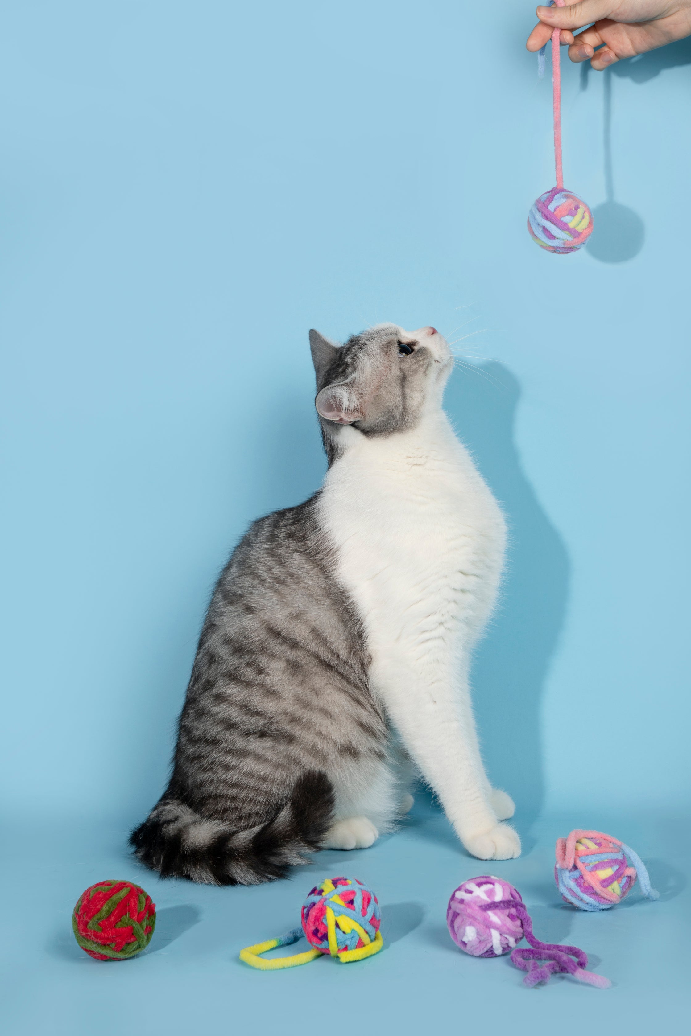 Fluffy Yarn Ball Toy for Cats