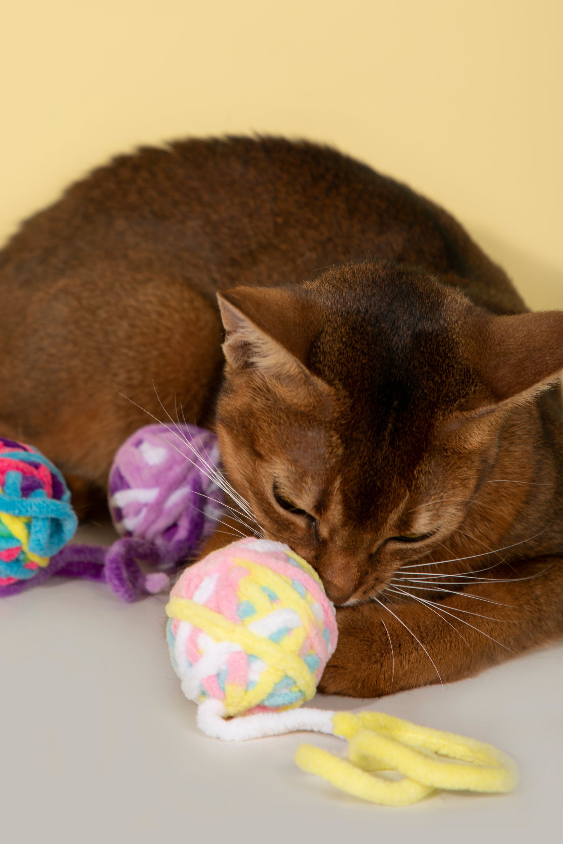 Fluffy Yarn Ball Toy for Cats