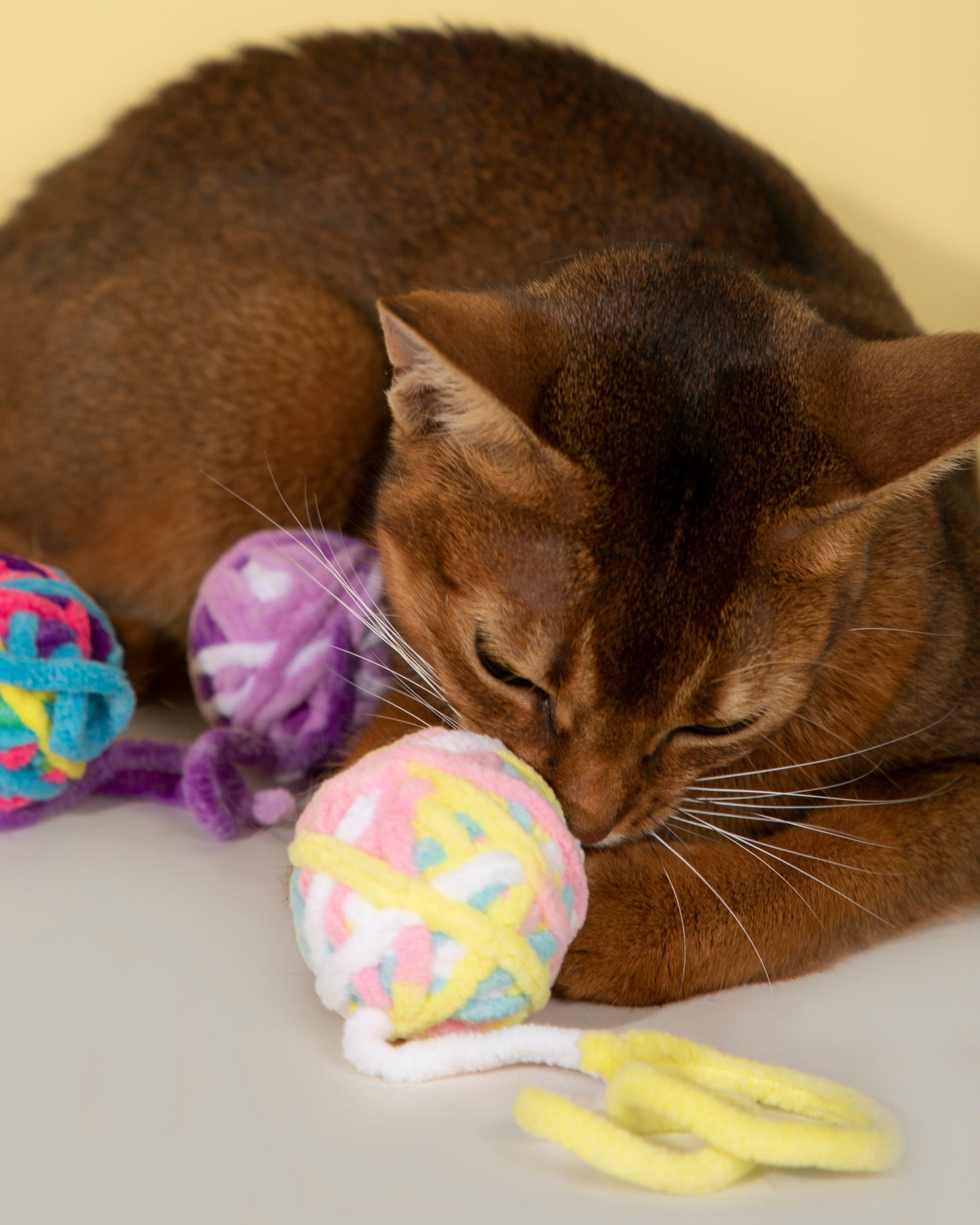 Fluffy Yarn Ball Toy for Cats