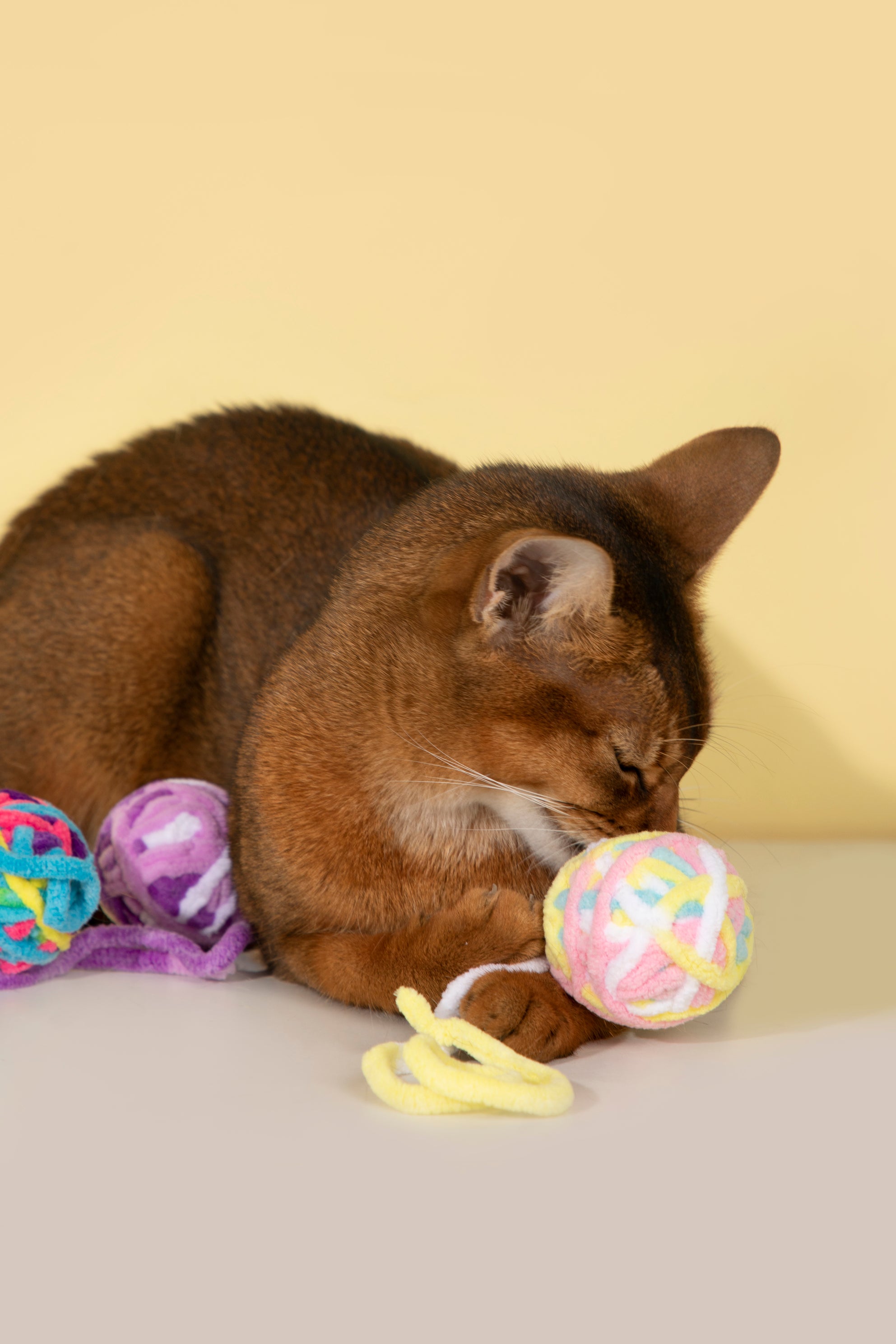 Fluffy Yarn Ball Toy for Cats