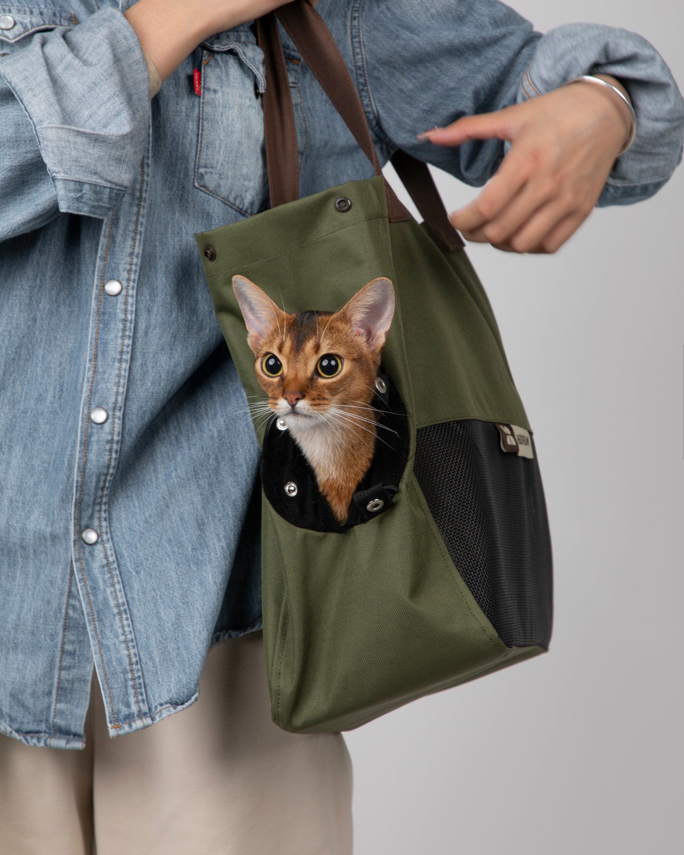 Color-Block Pet Travel Sling Bag - Dark Green