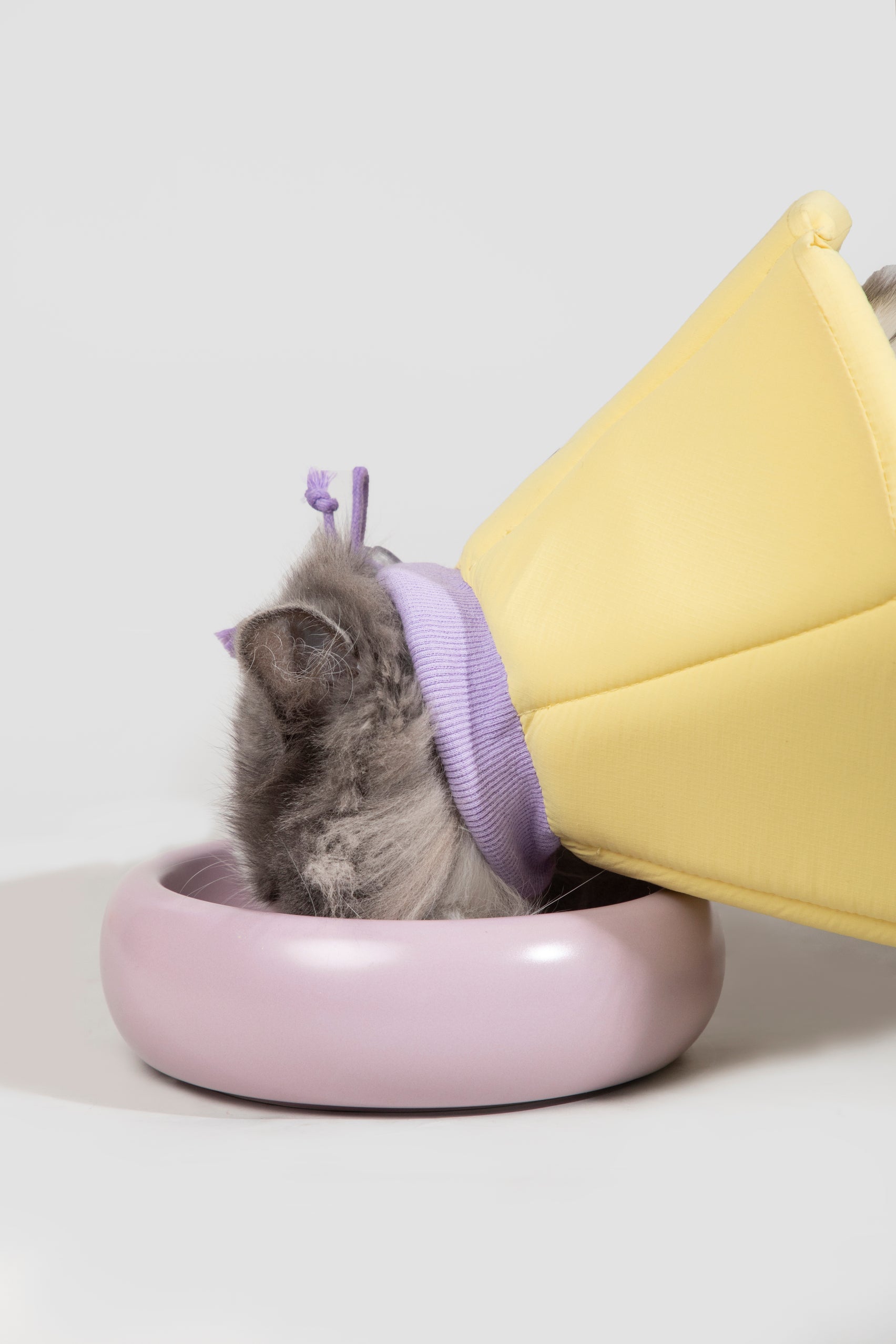 Sponge Cone Recovery Pet Collar - Custard Yellow